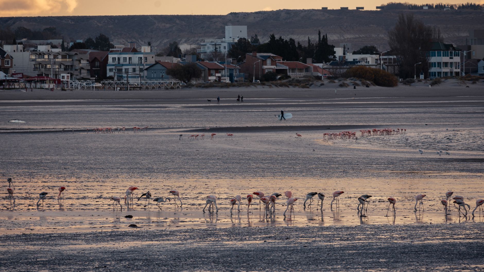 Puerto Madryn