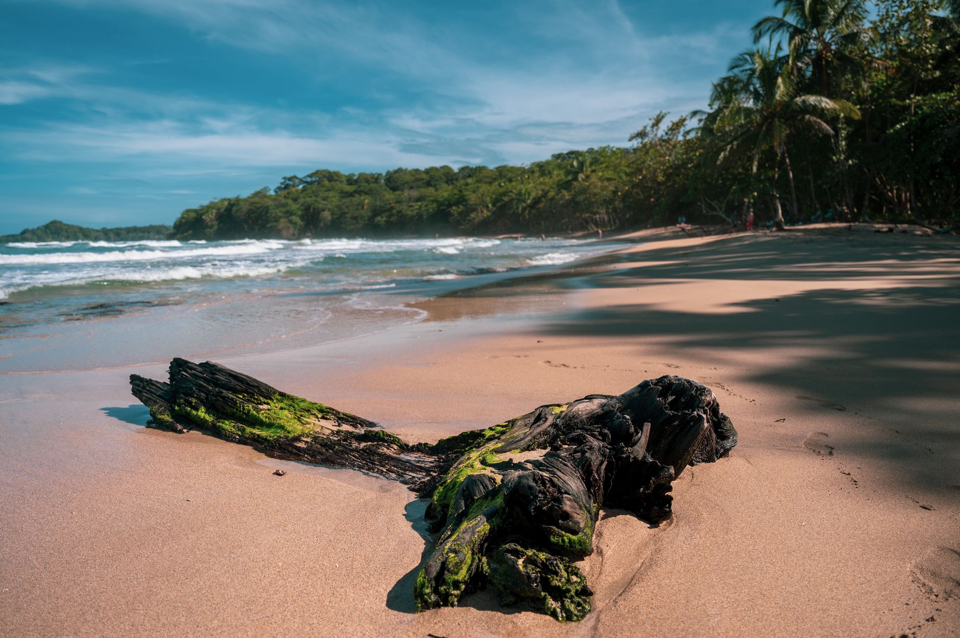 Puerto Viejo de Talamanca