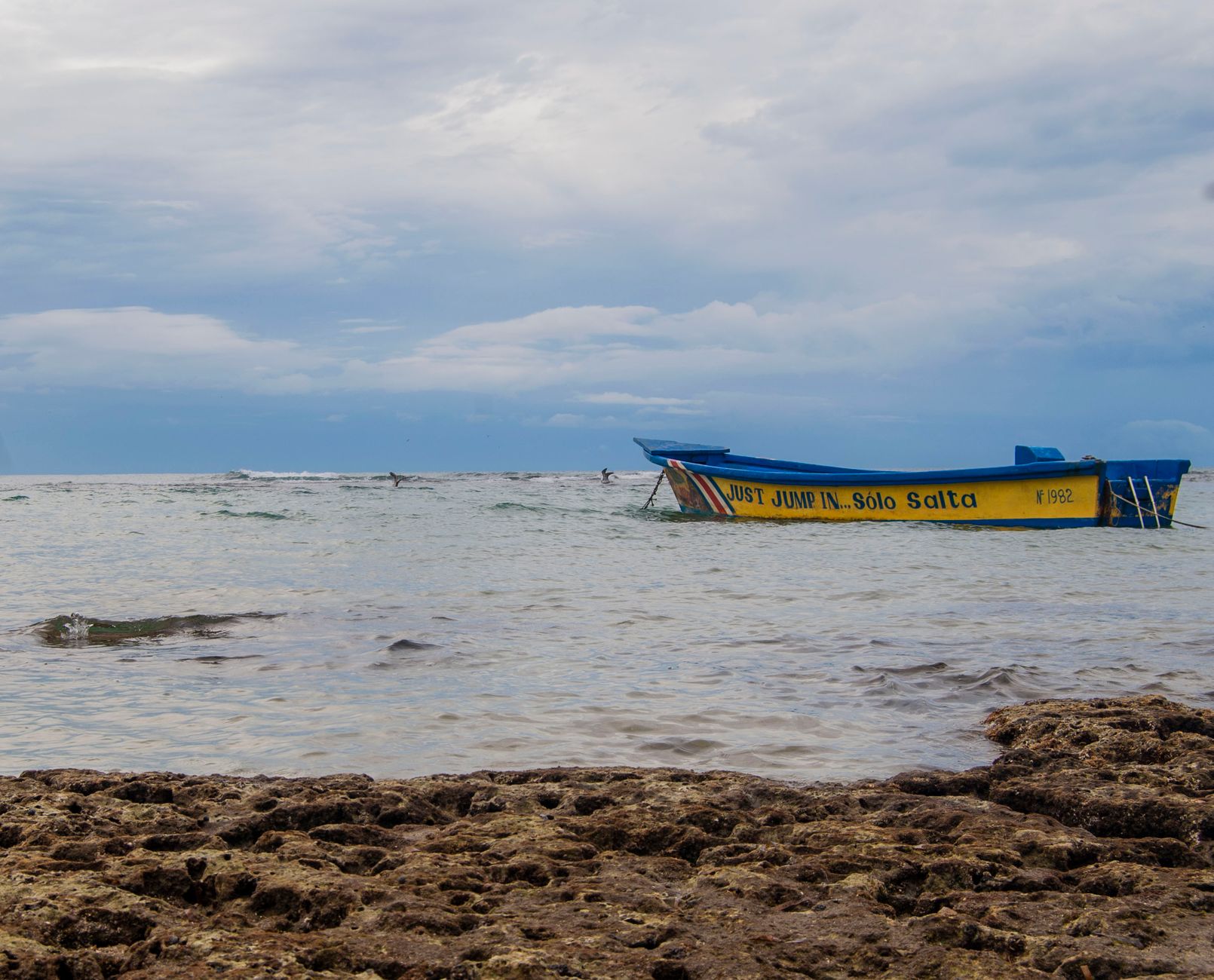 Puerto Viejo de Talamanca