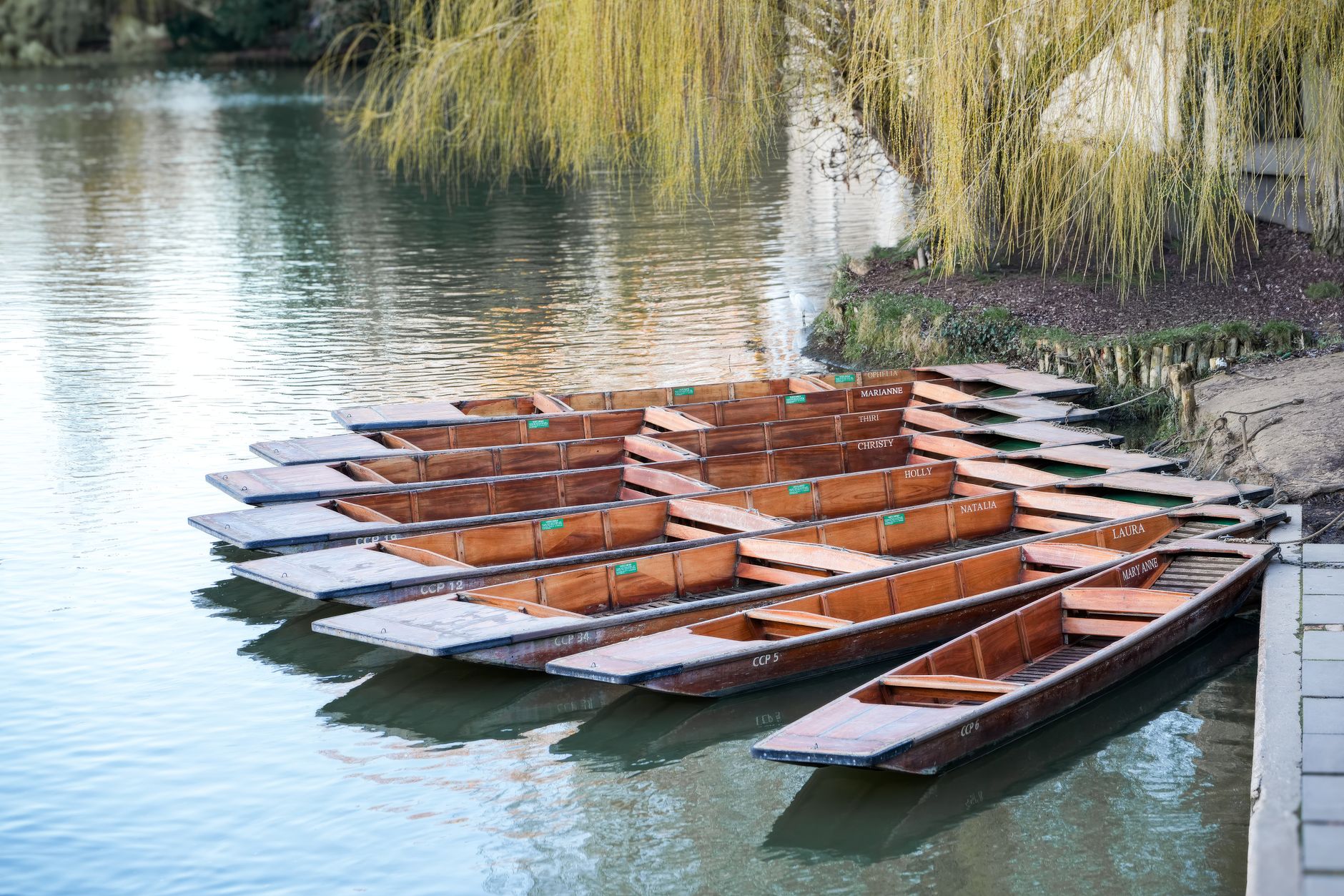 Punting on the Cam