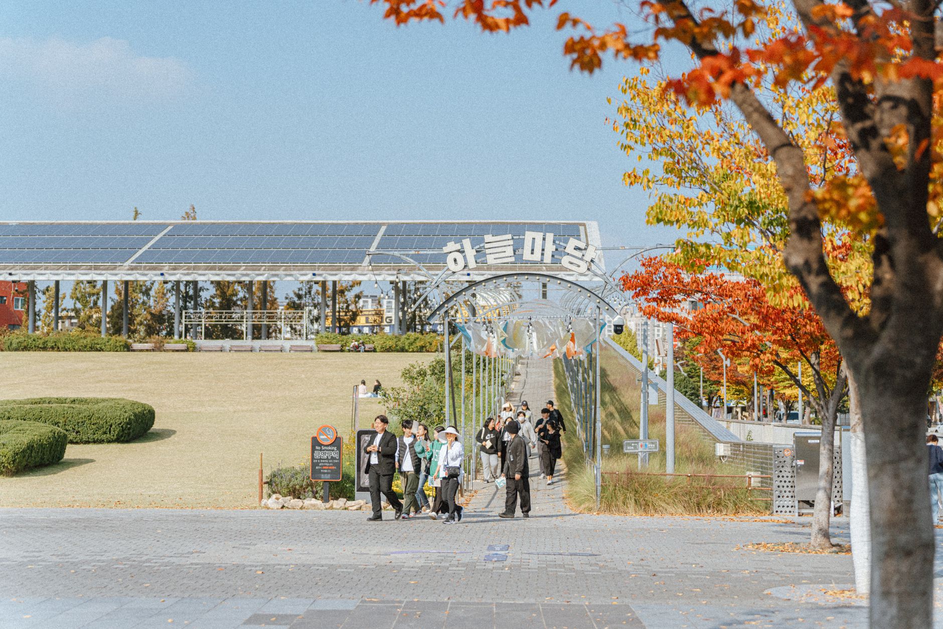 Pyoseon