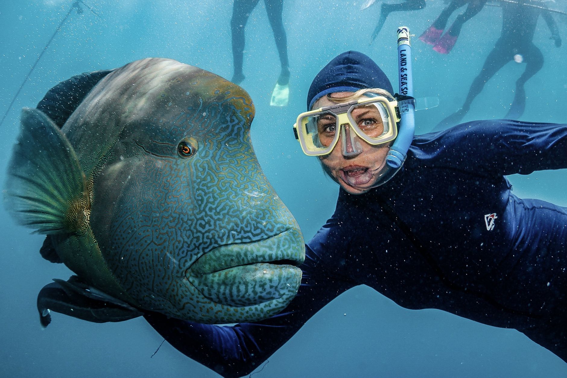 Queensland (Great Barrier Reef), Australia