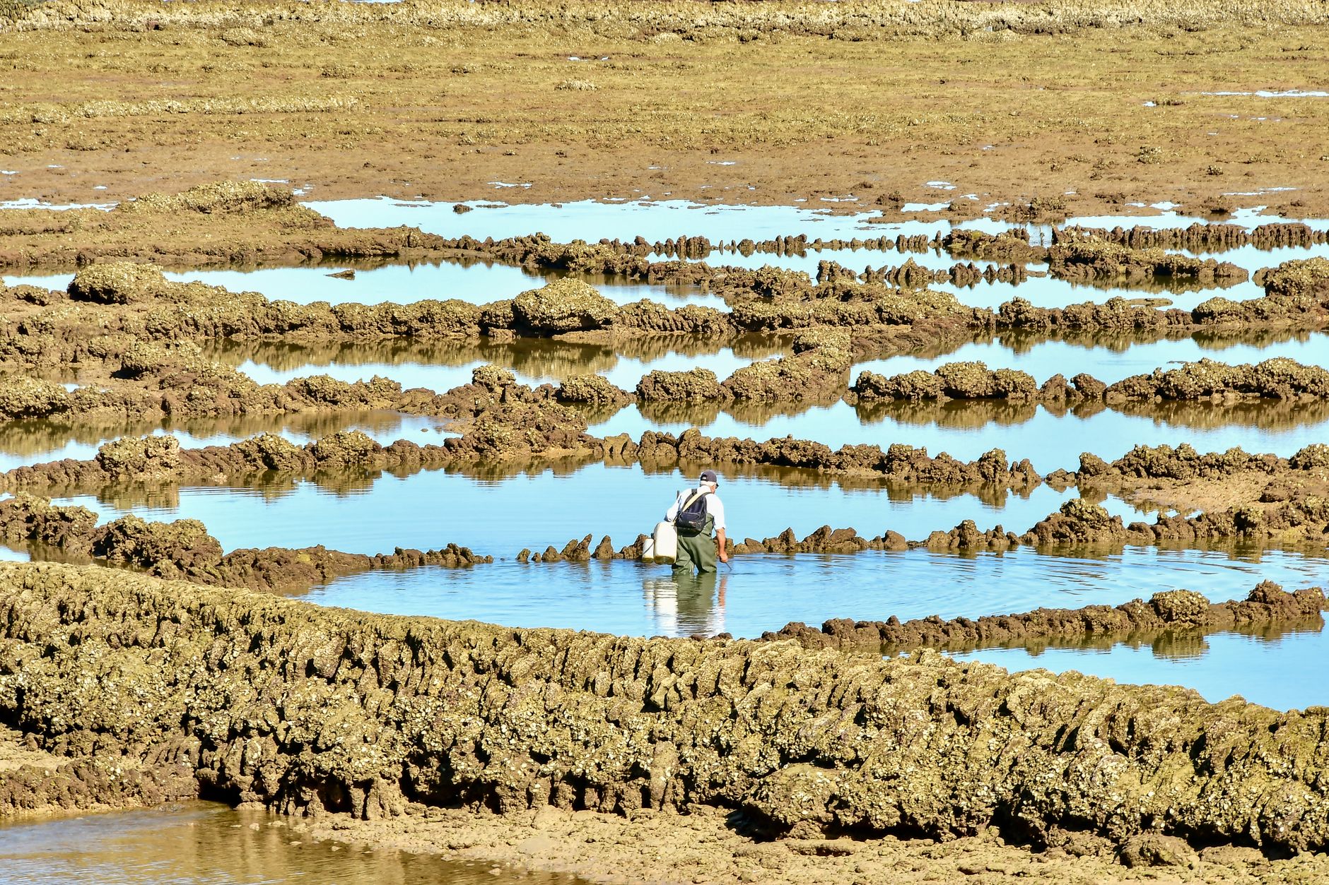 Ria Formosa Natural Park
