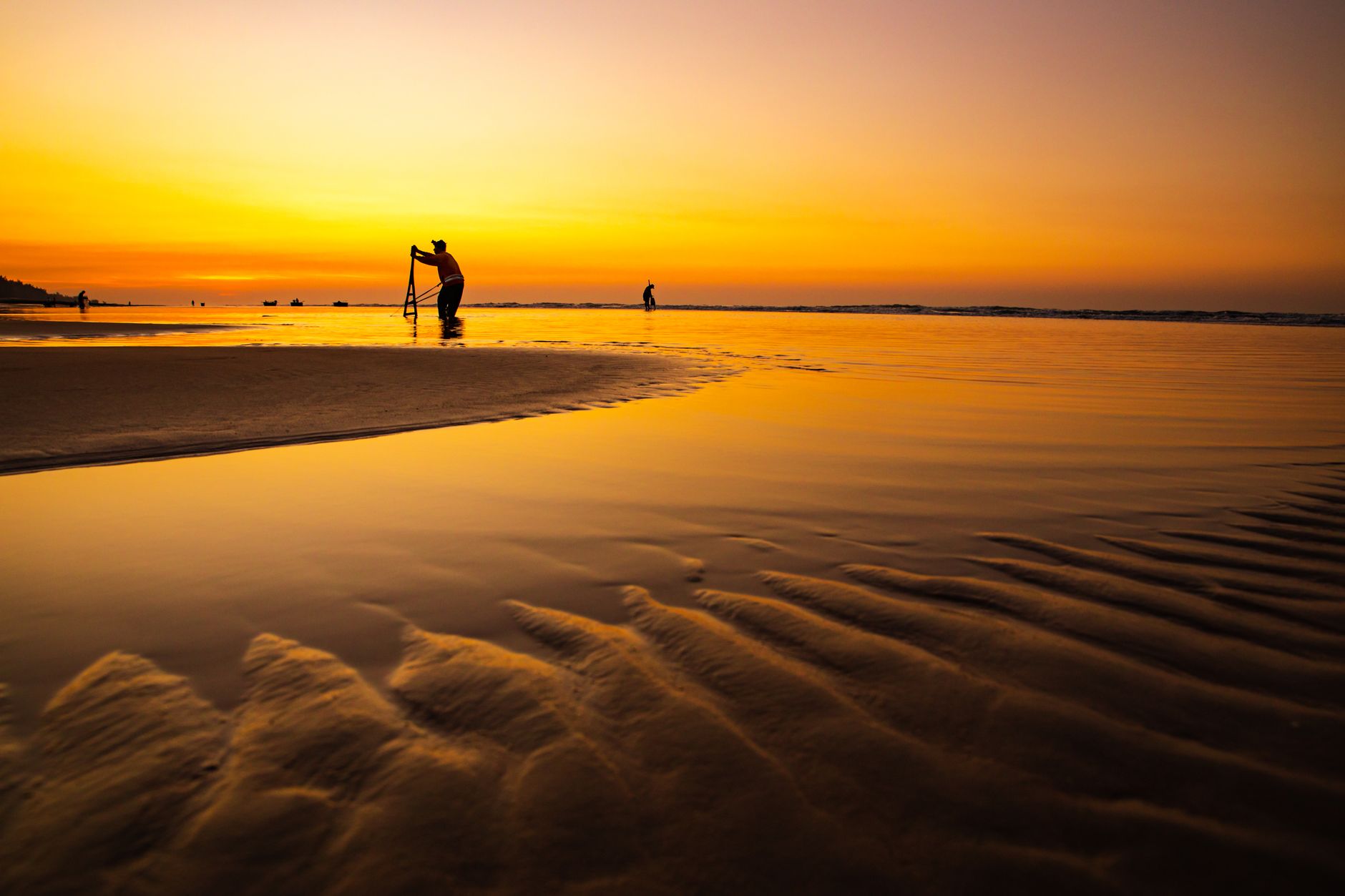 Ria Formosa Natural Park