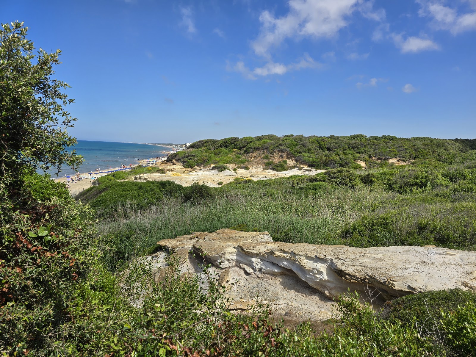 Riserva Naturale di Tor Caldara