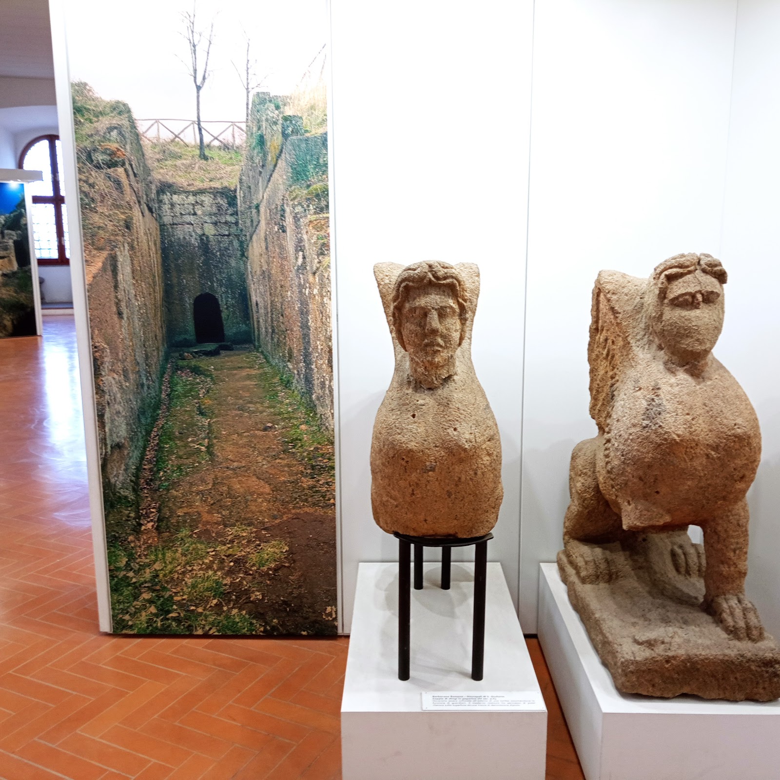Rocca Albornoz