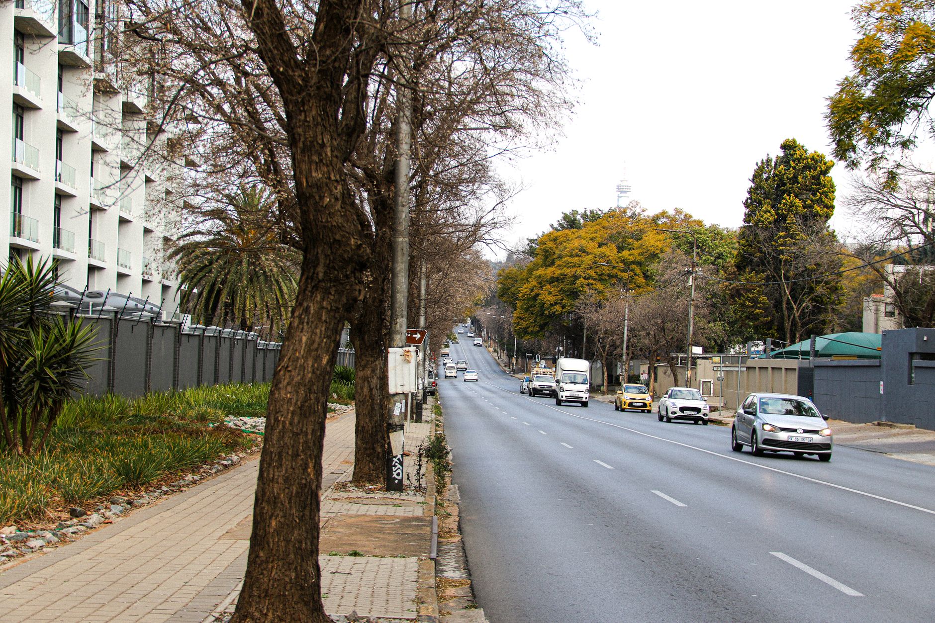 Rosebank
