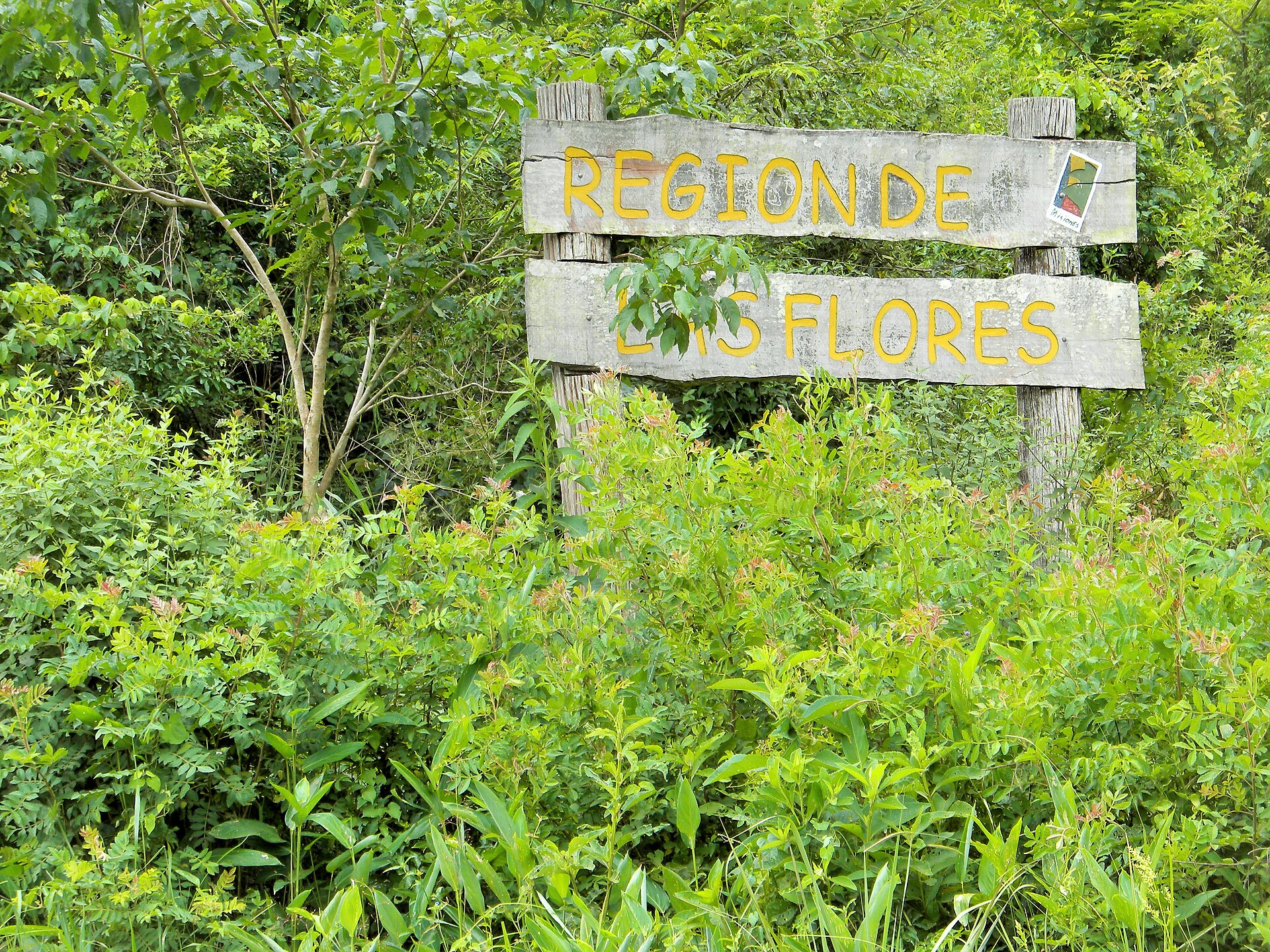 Ruta de las Flores