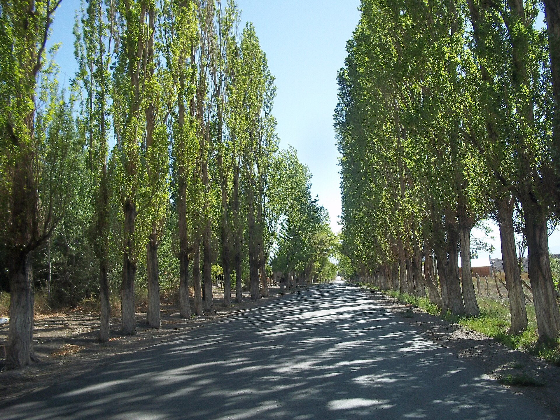 Ruta de las Flores