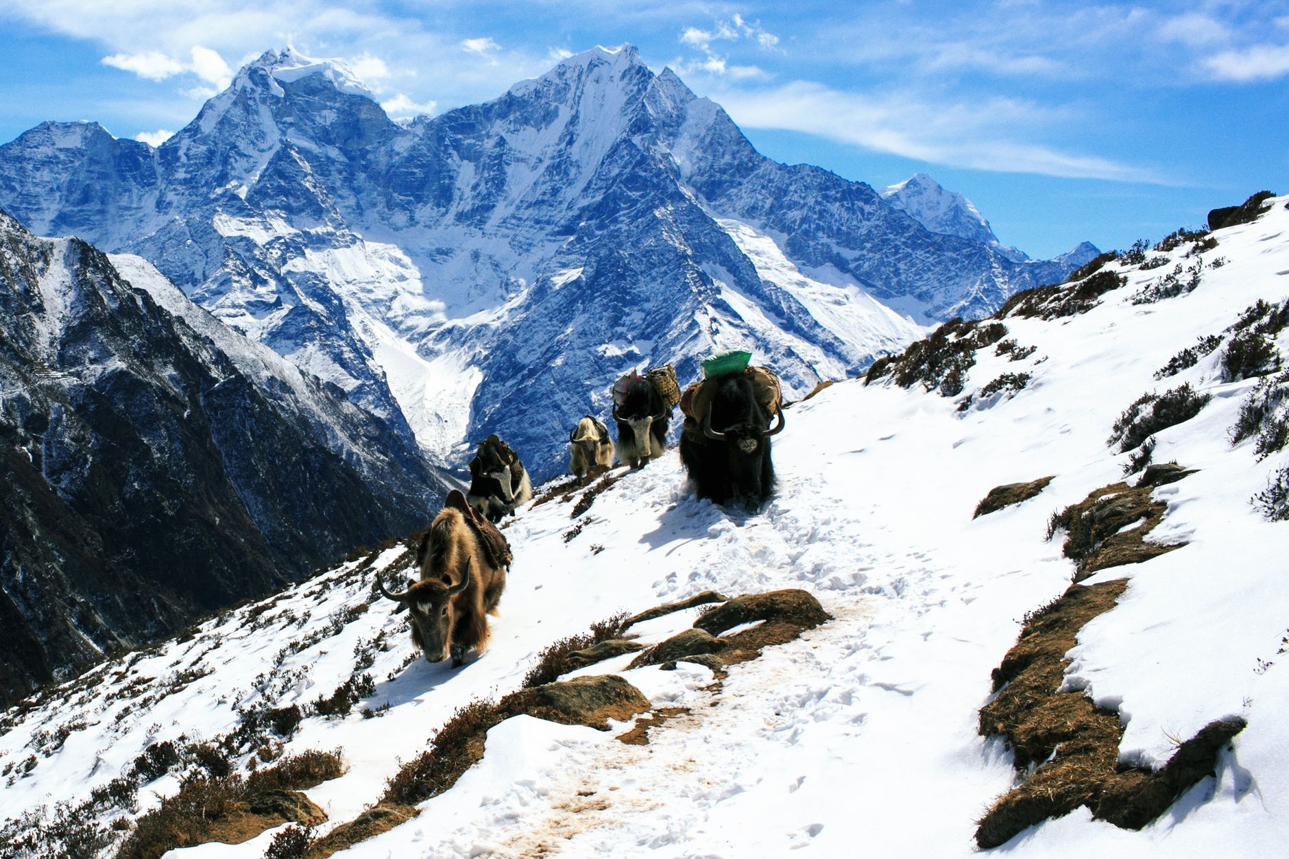 Sagarmatha National Park