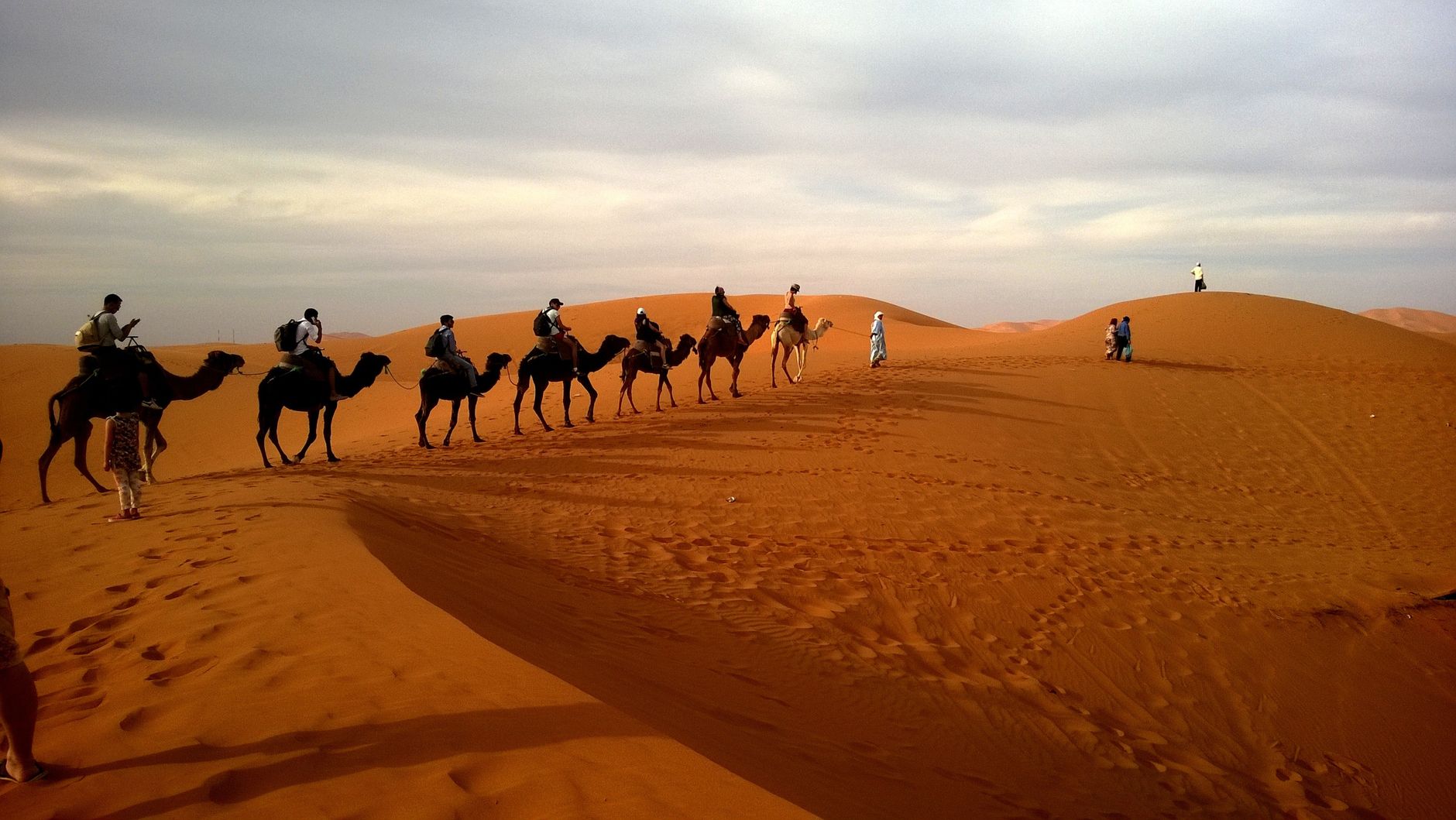 Sahara Desert