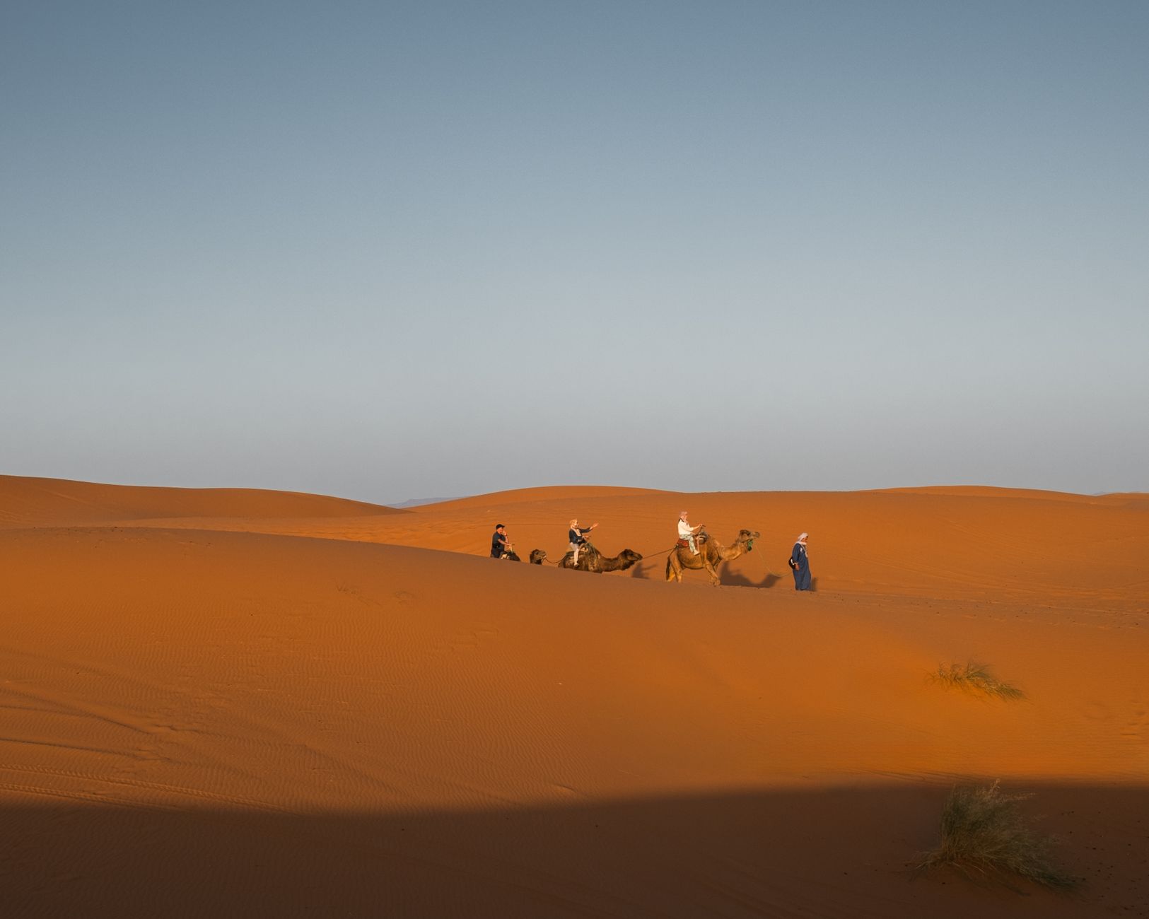 Sahara Desert