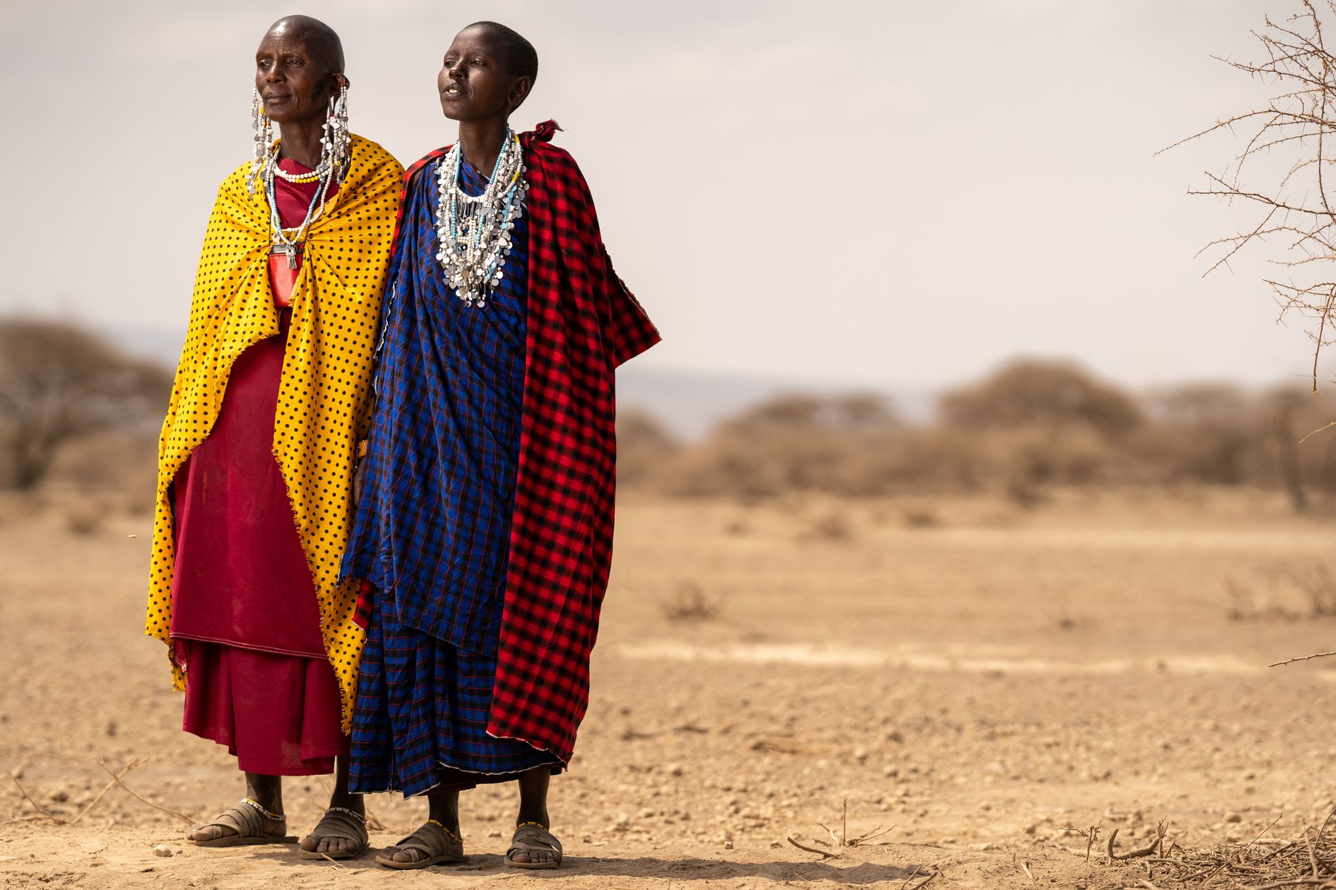Samburu National Reserve