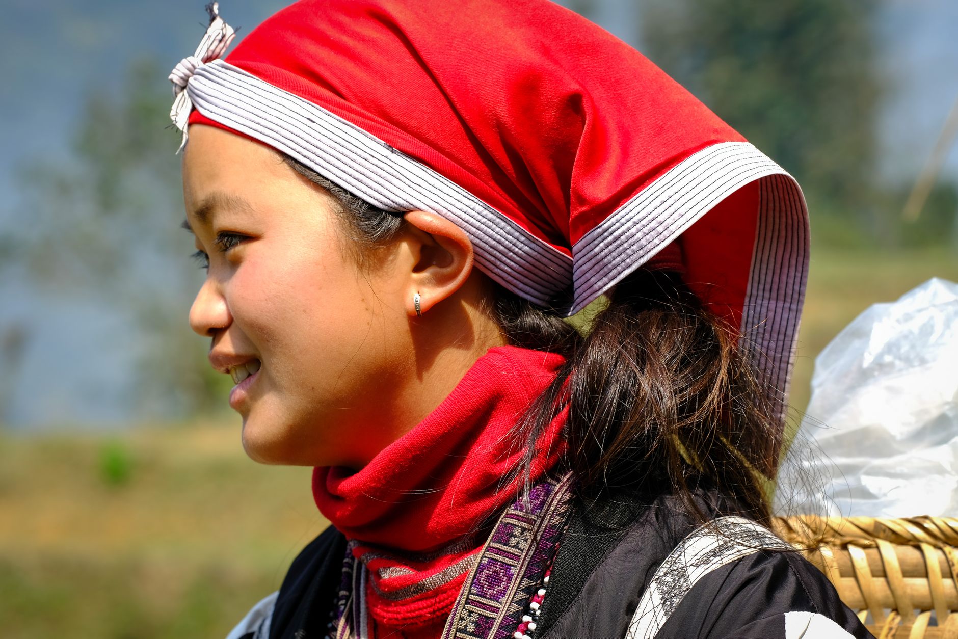 Sapa