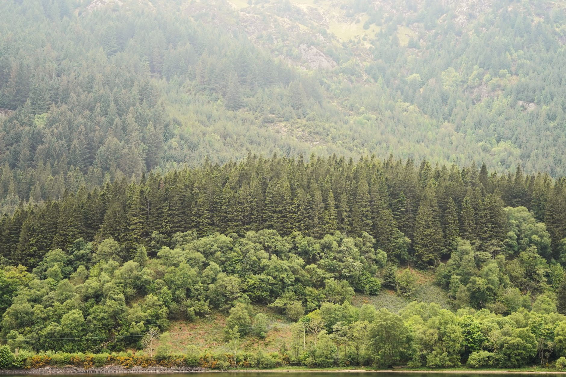 Scottish Highlands, Scotland, UK