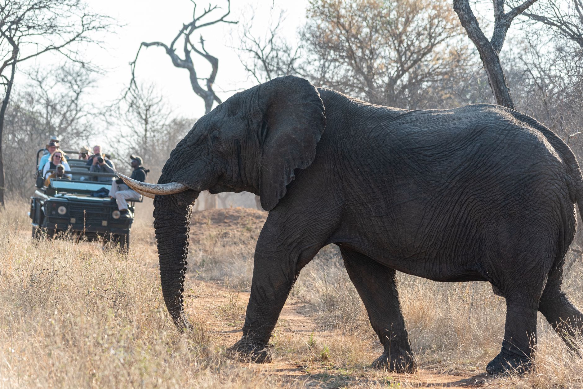 Selous Game Reserve