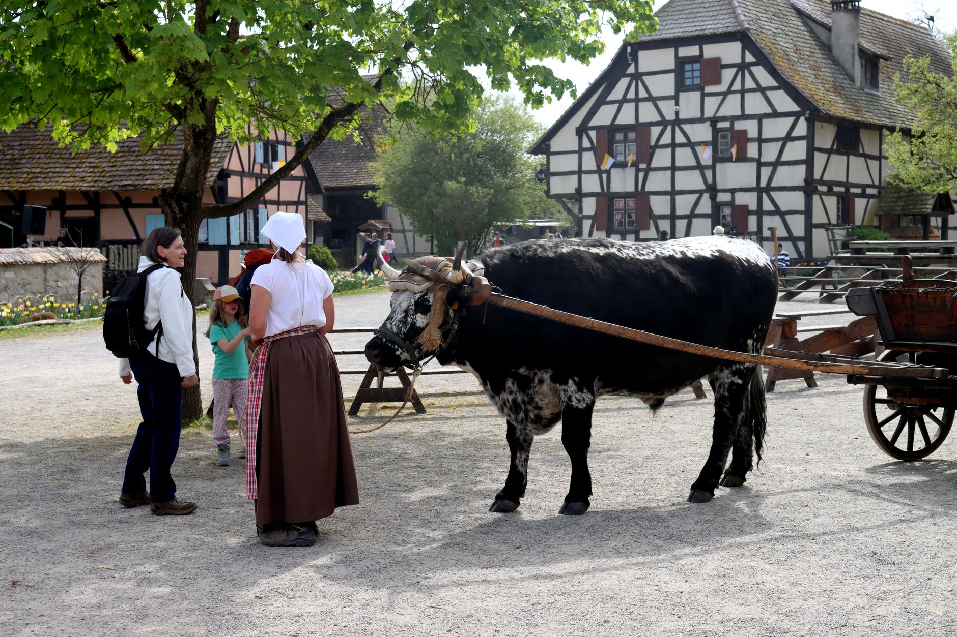 Senlis