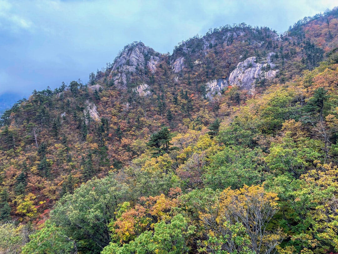 Seoraksan National Park