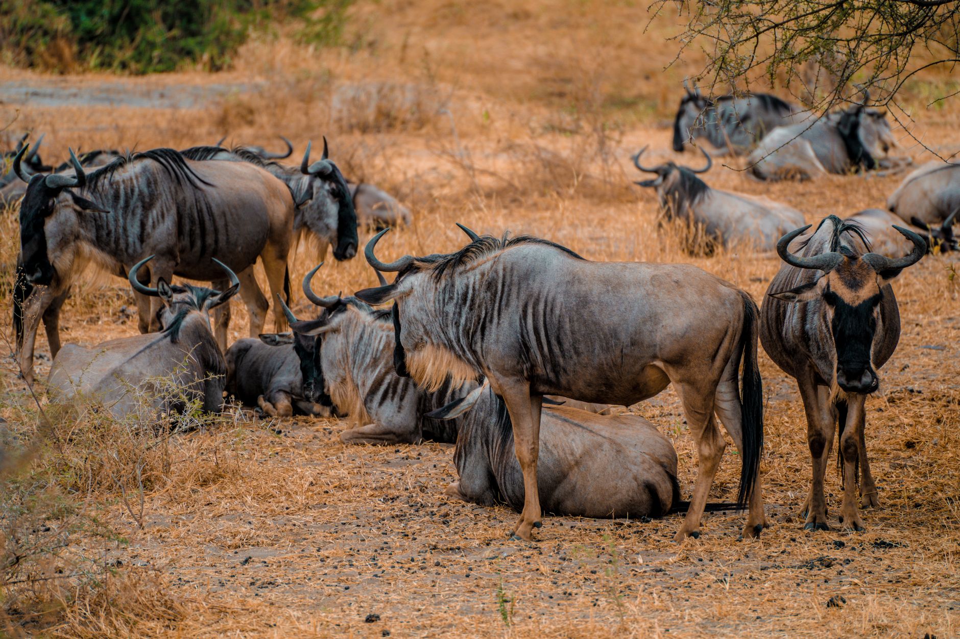 Serengeti National Park