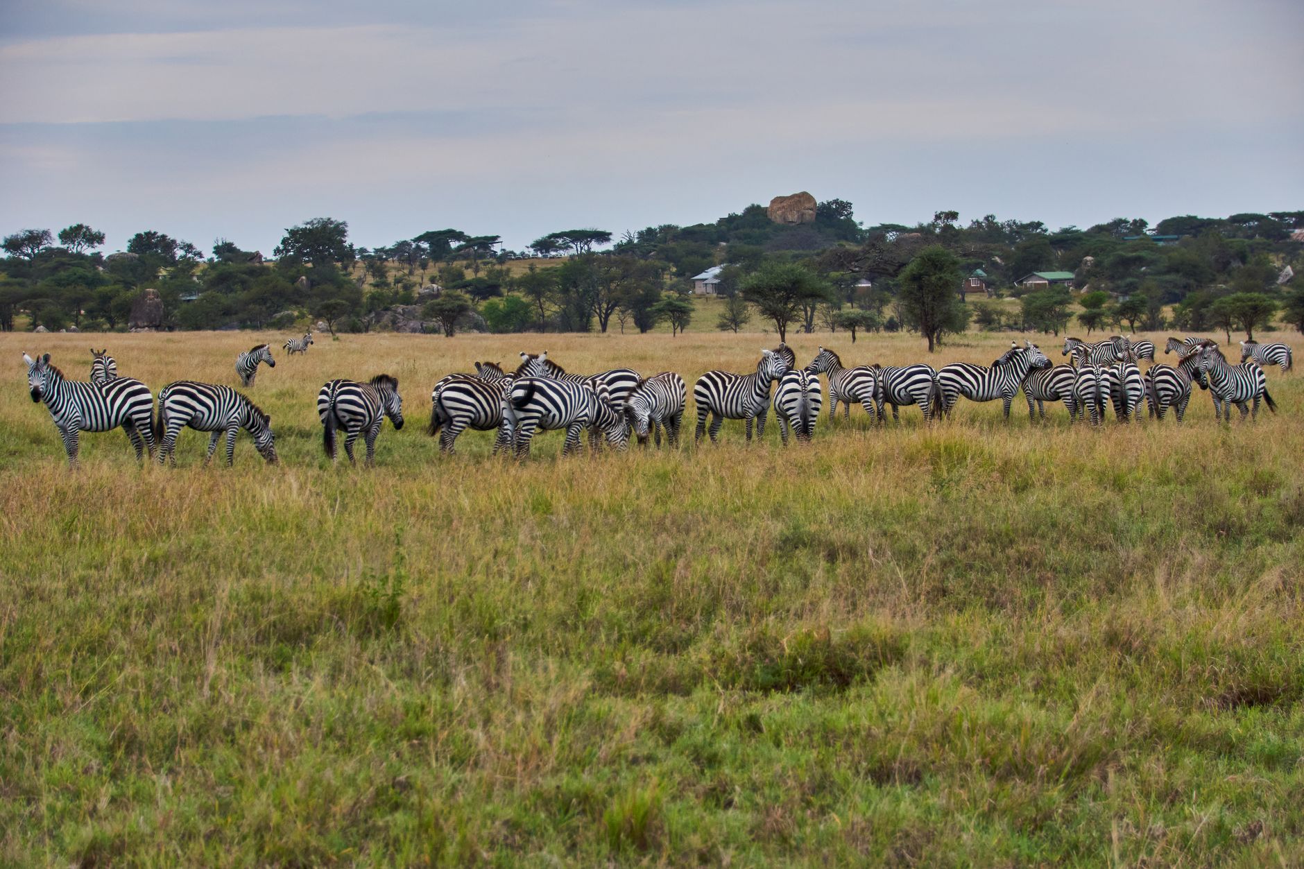 Serengeti National Park