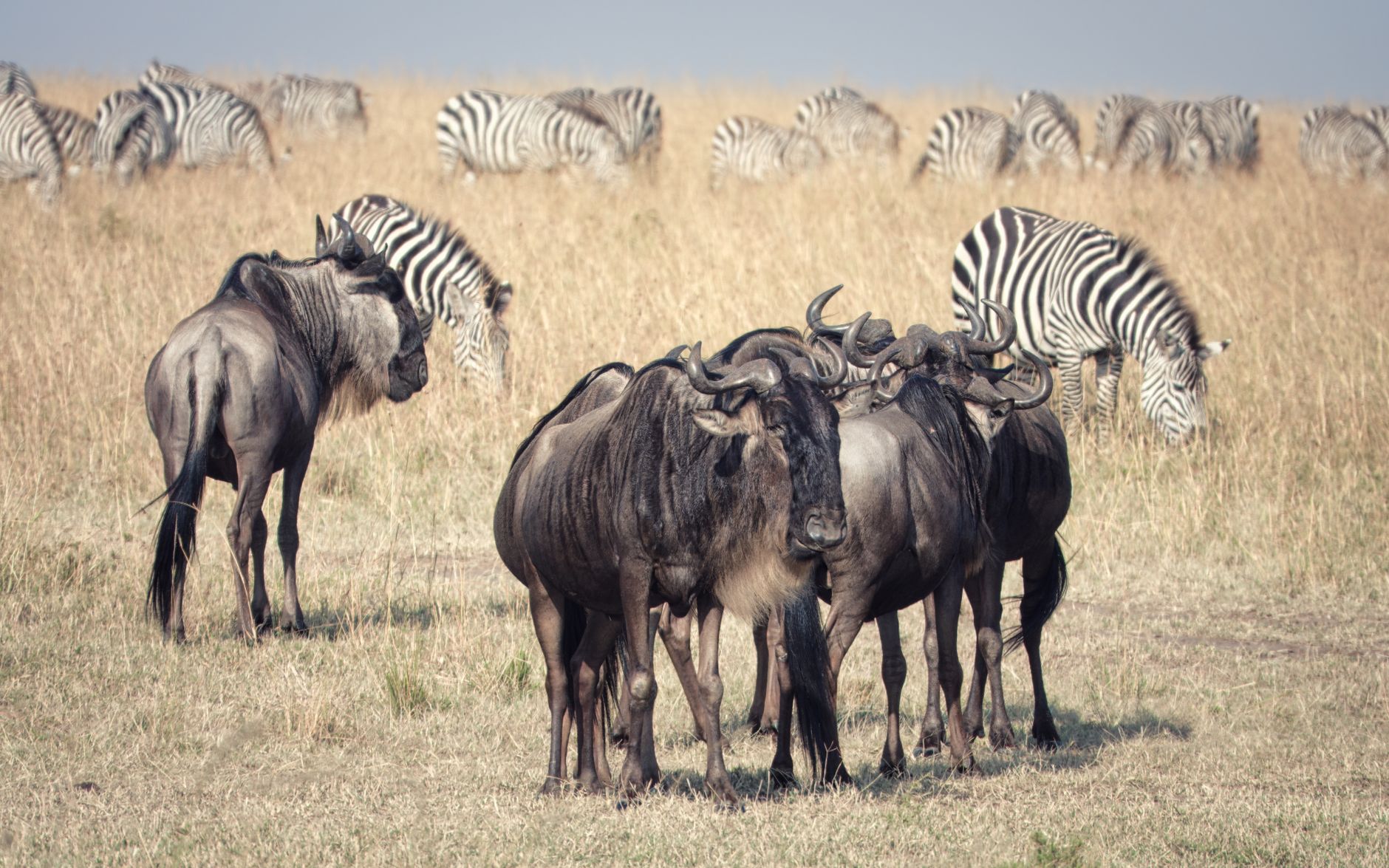Serengeti National Park