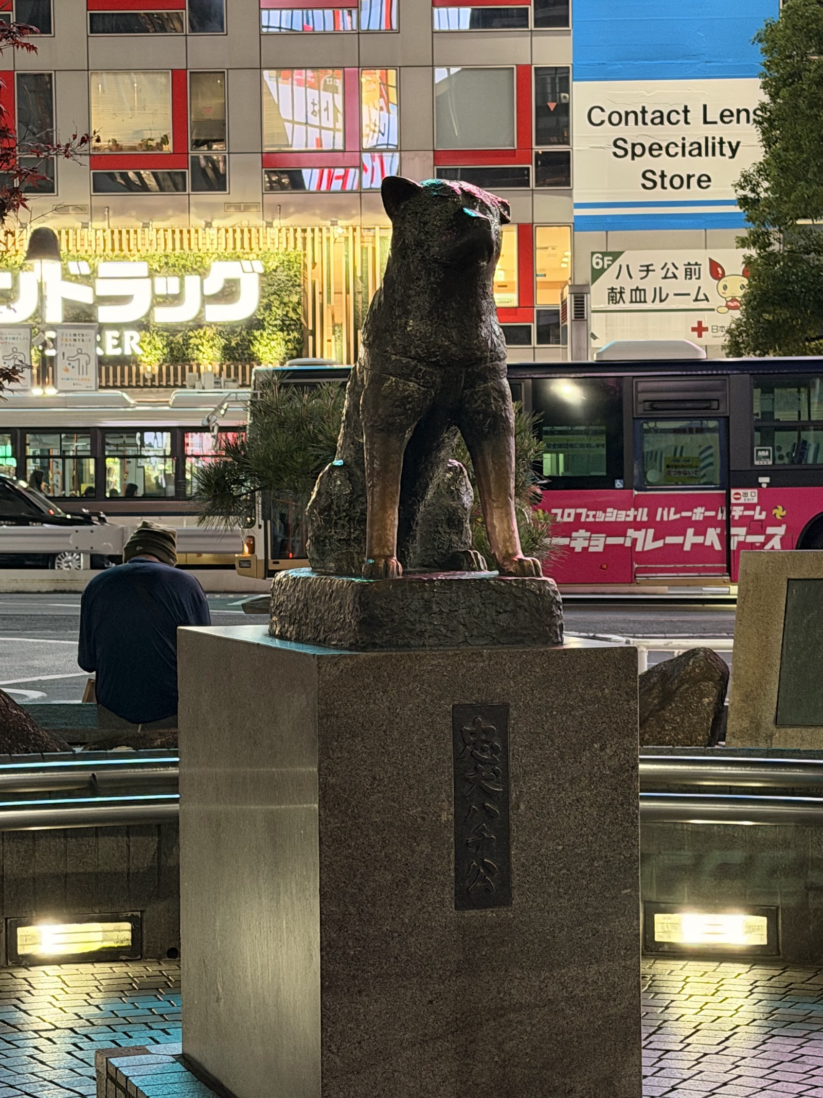 Shibuya Scramble Crossing