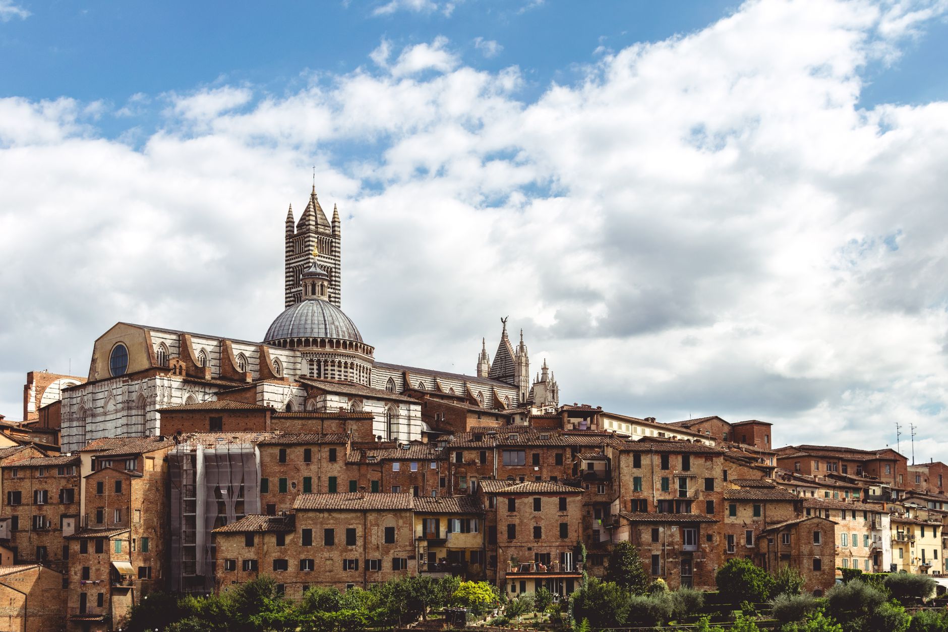 Siena Cathedral (Duomo di Siena)