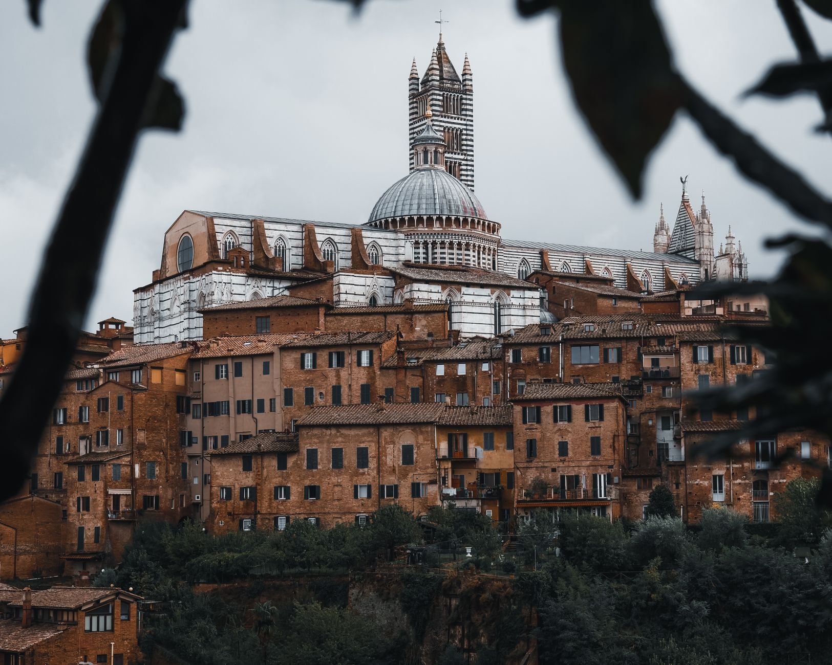 Siena Cathedral (Duomo di Siena)