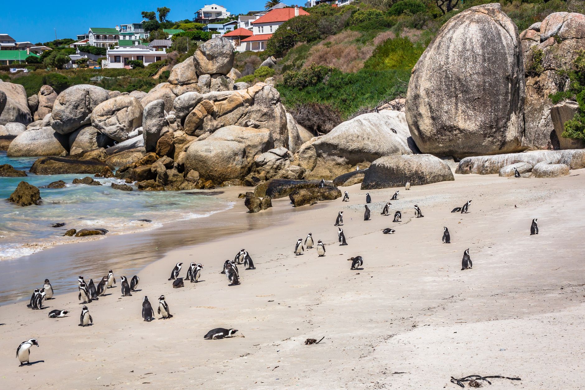 Simon's Town