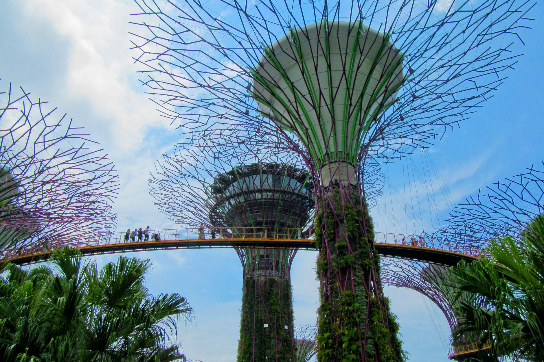 Singapore Botanic Gardens