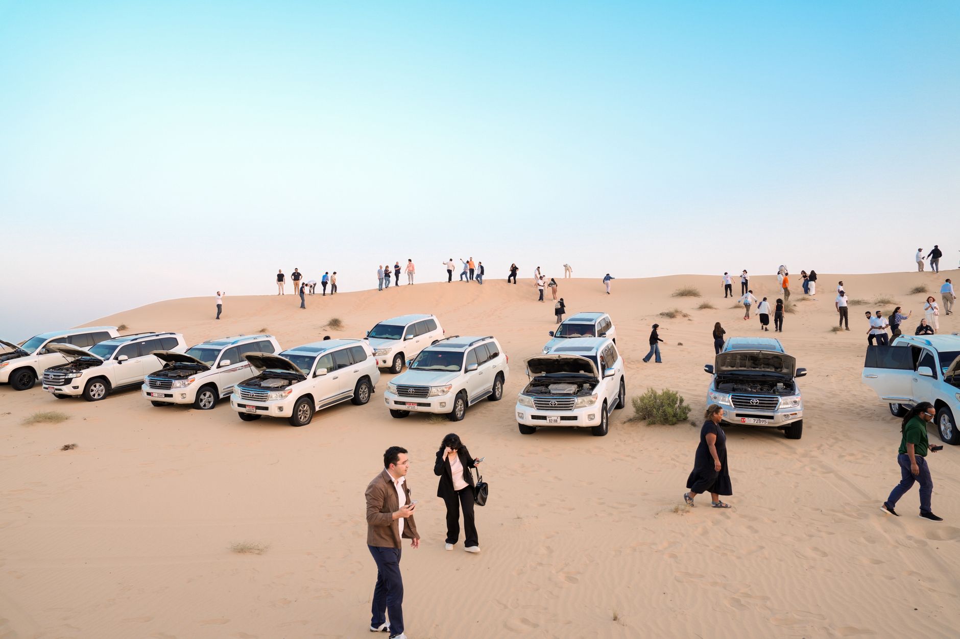 Sir Bani Yas Island