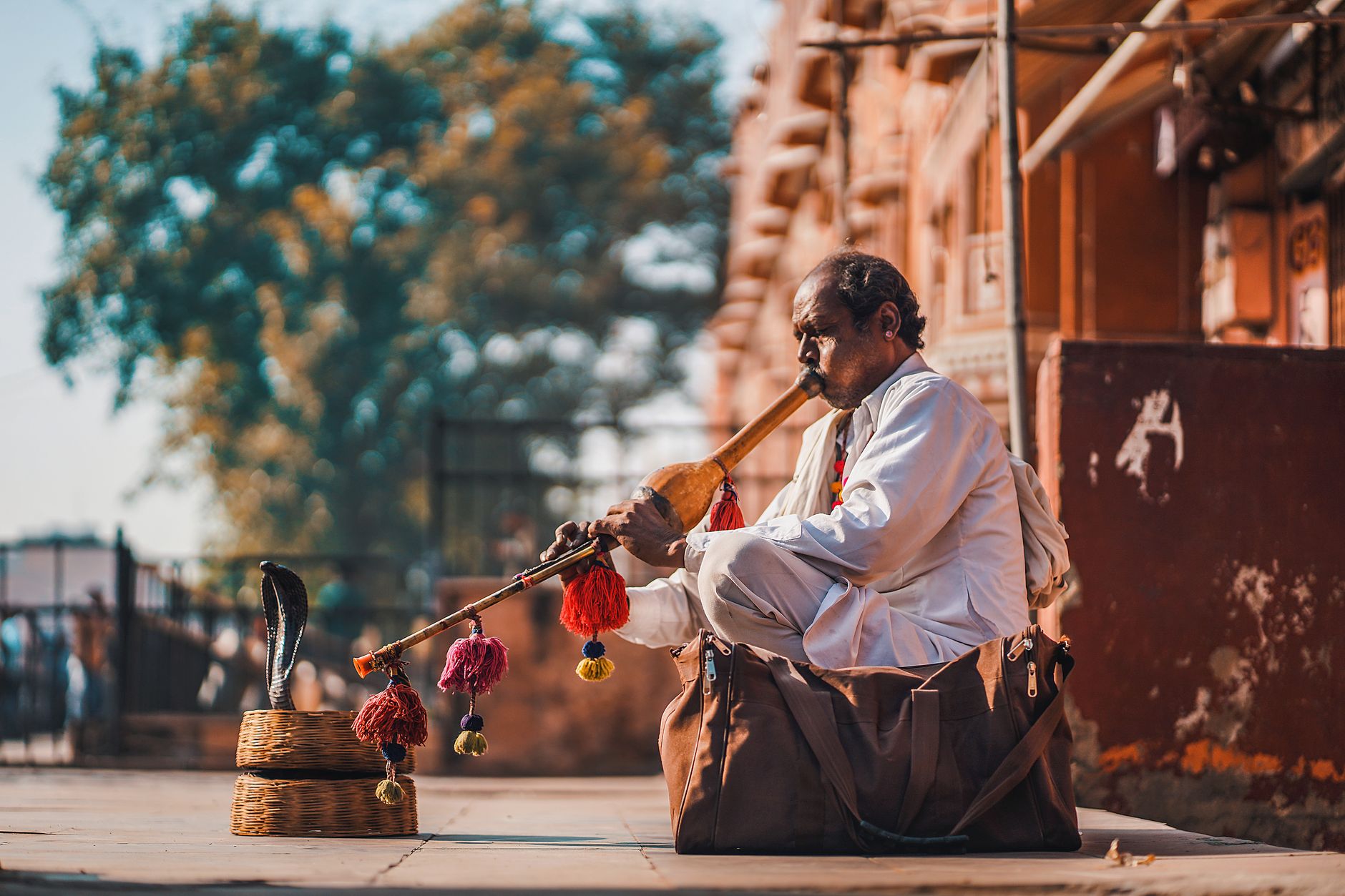 Snake Charmers Area