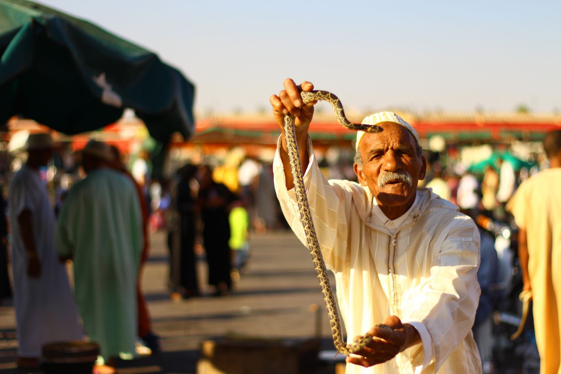 Snake Charmers Area