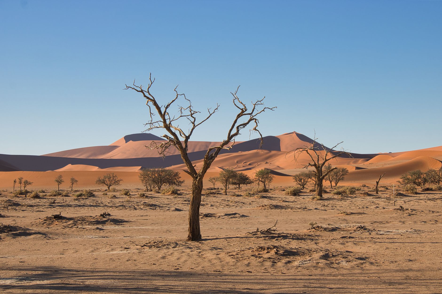 Sossusvlei