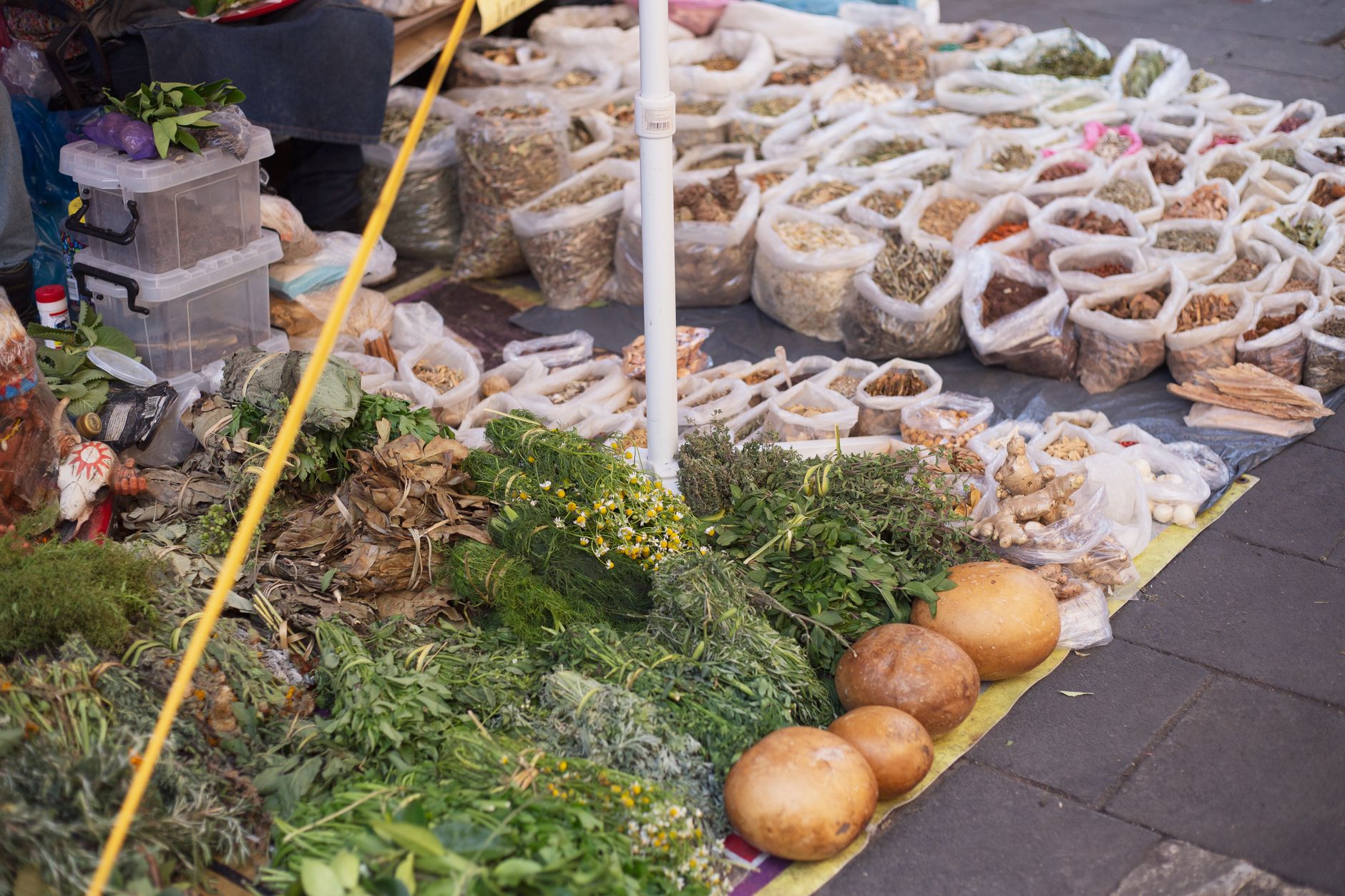 Spice and Herb Vendors