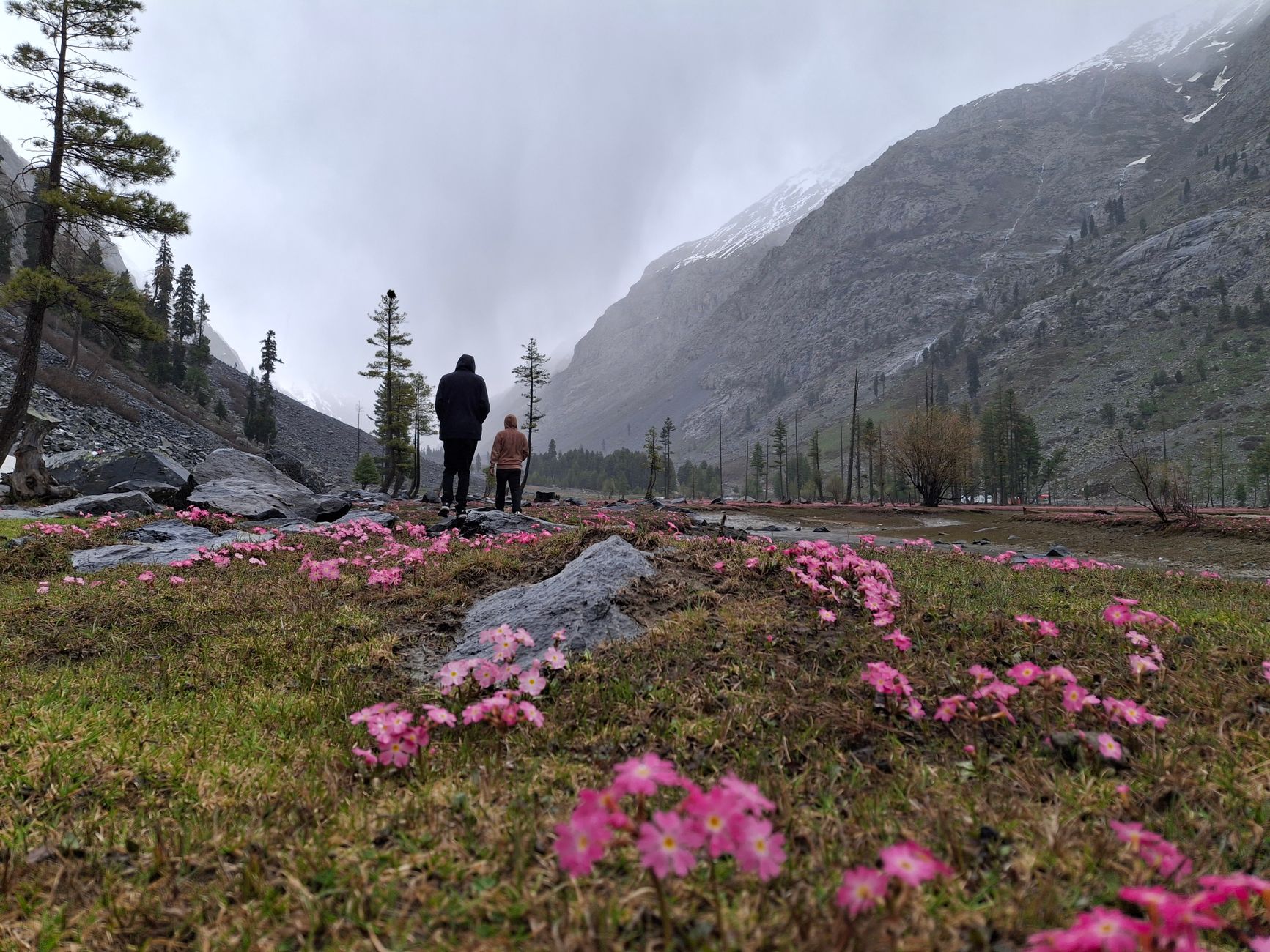 Spring Valley