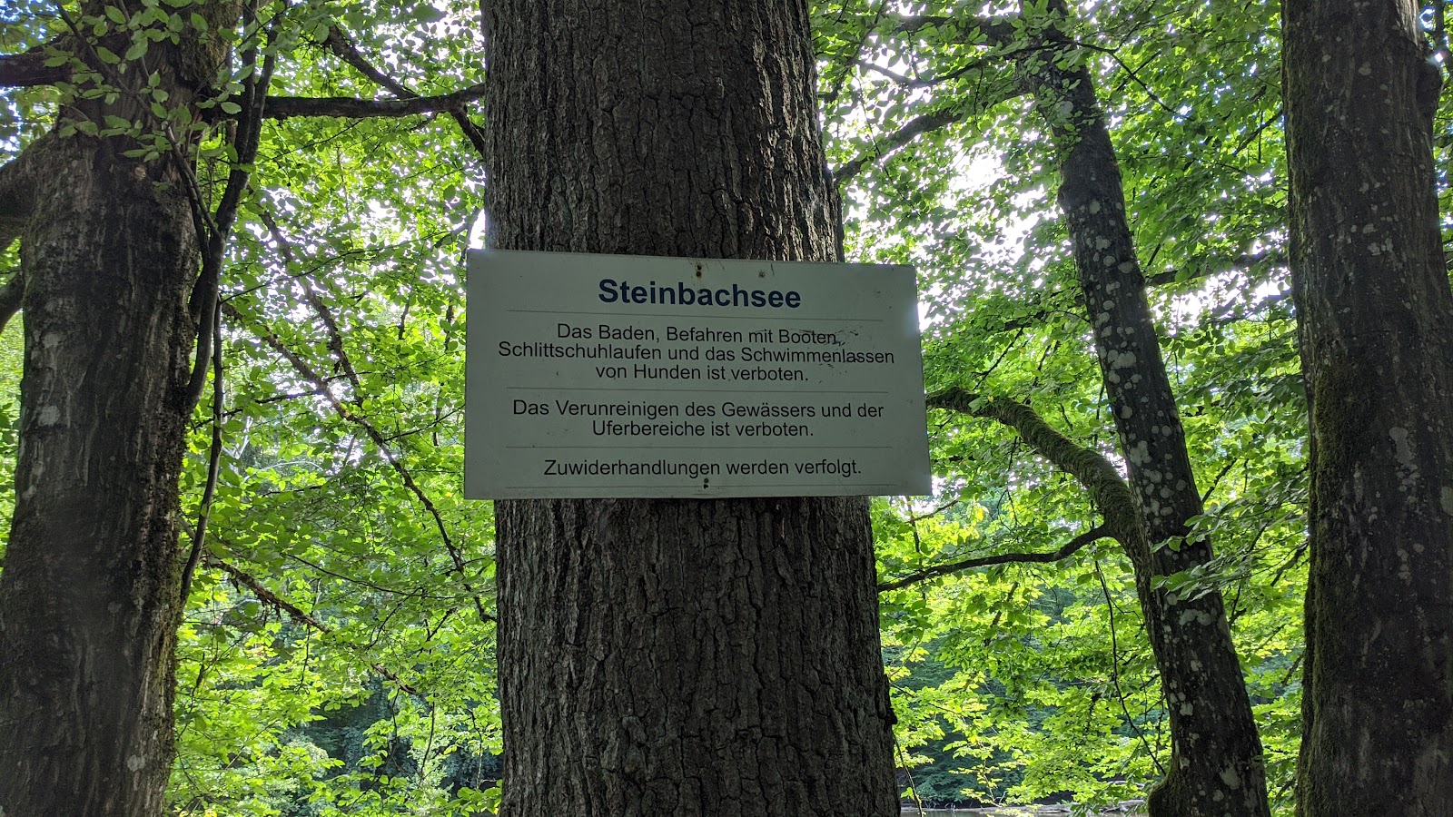 Steinbach Lake (Steinbachsee)