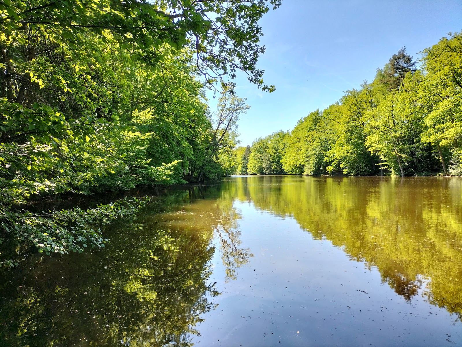 Steinbach Lake (Steinbachsee)