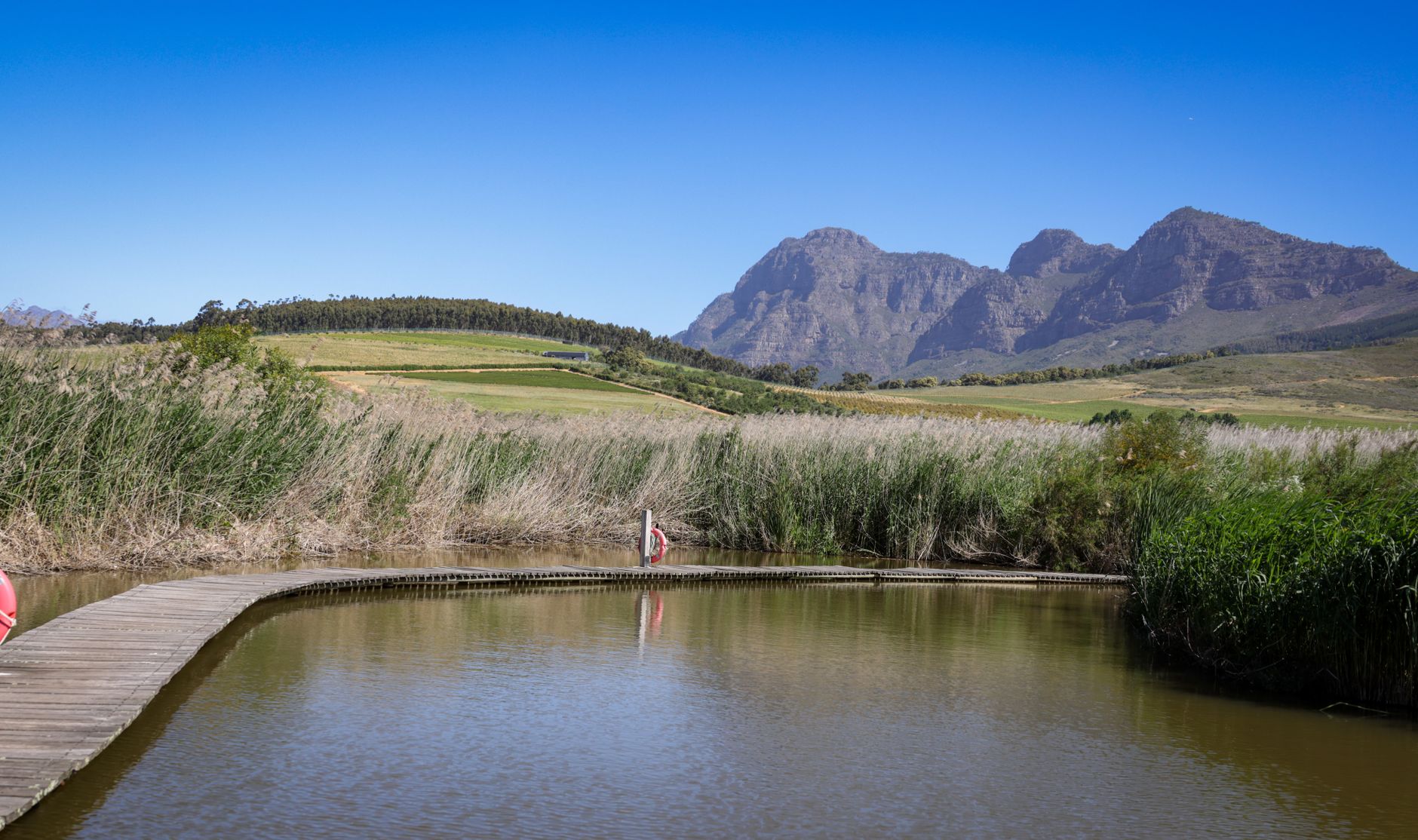Stellenbosch (within Cape Town metro)