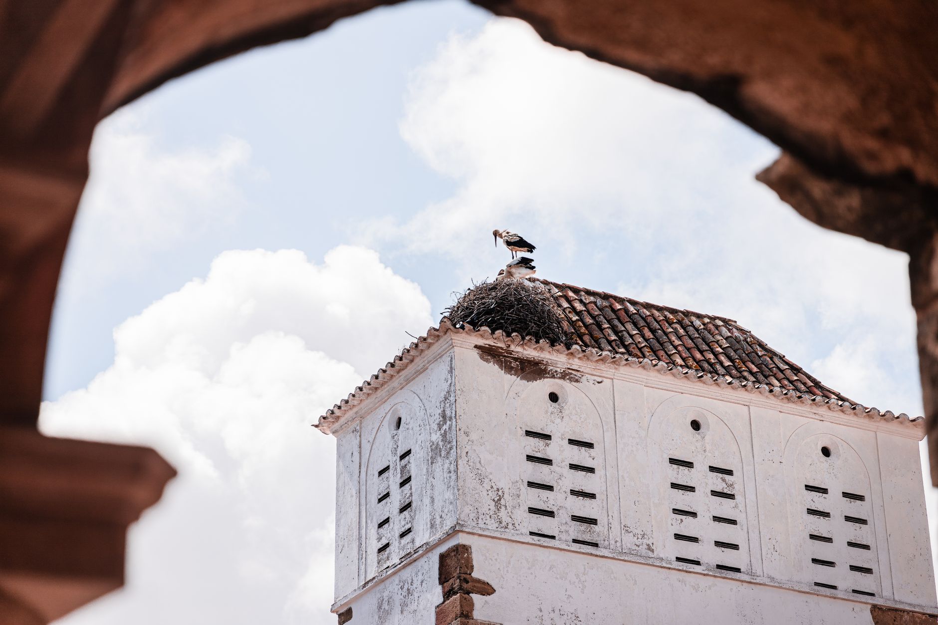 Stork Nesting Towers