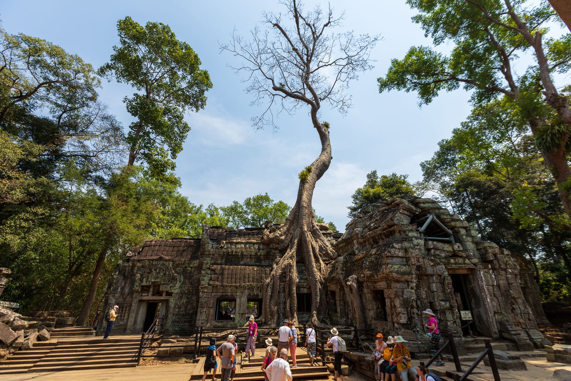 Ta Prohm