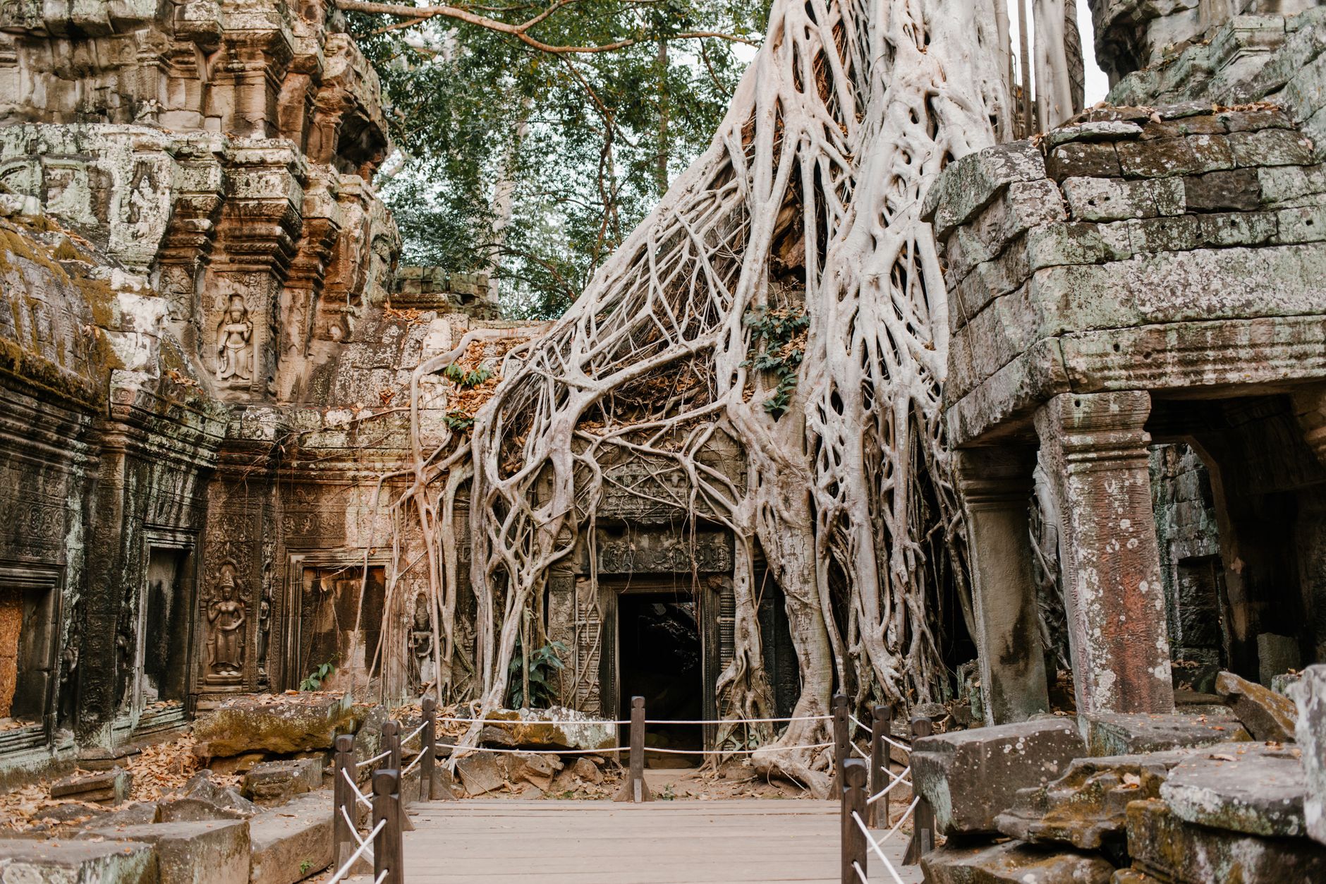 Ta Prohm