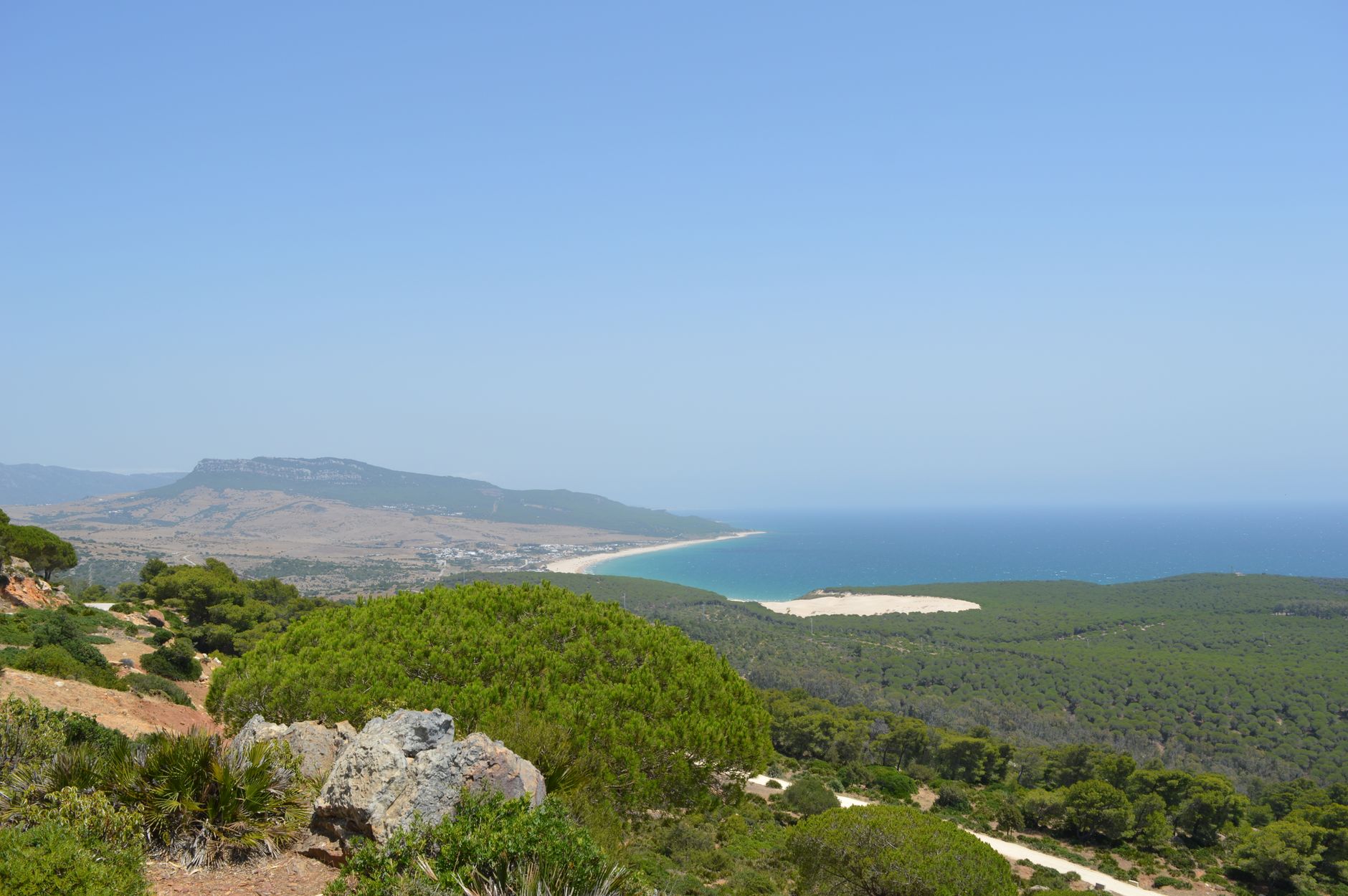 Tarifa