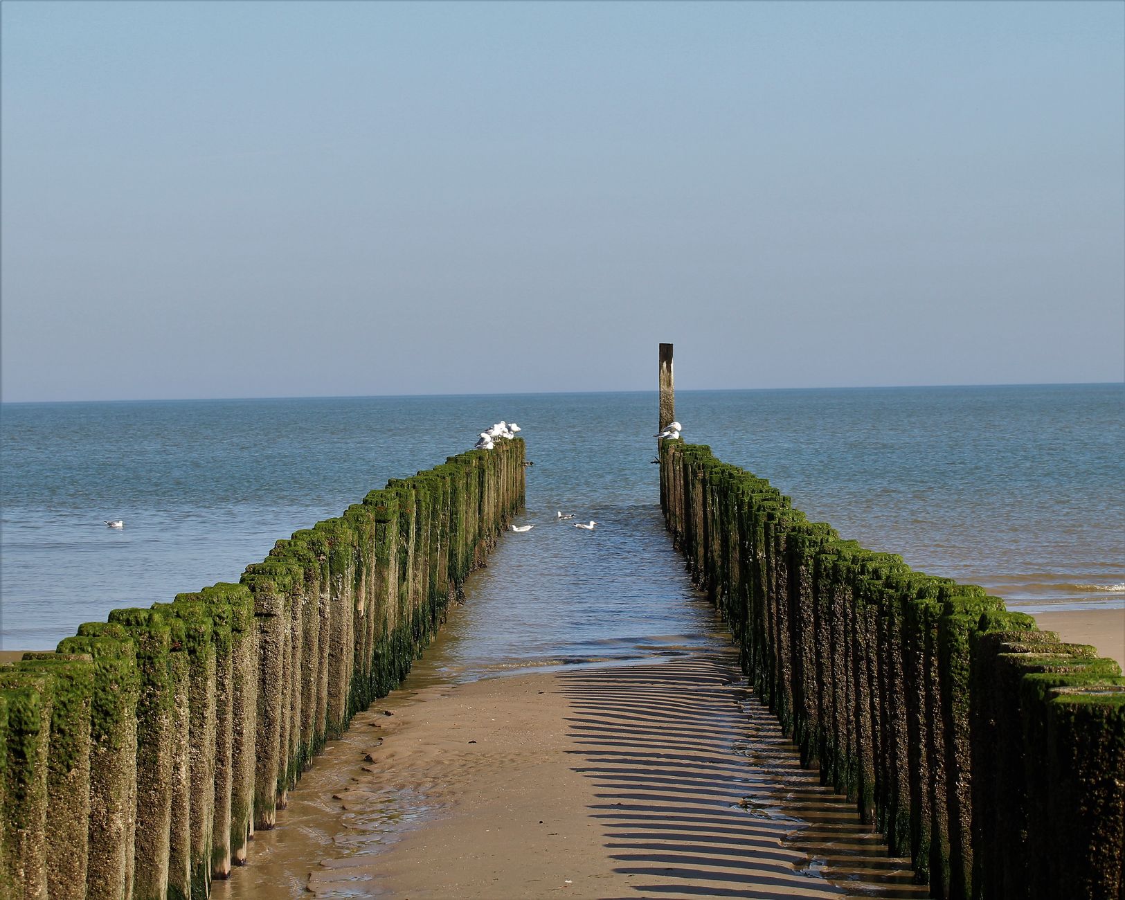 Terschelling