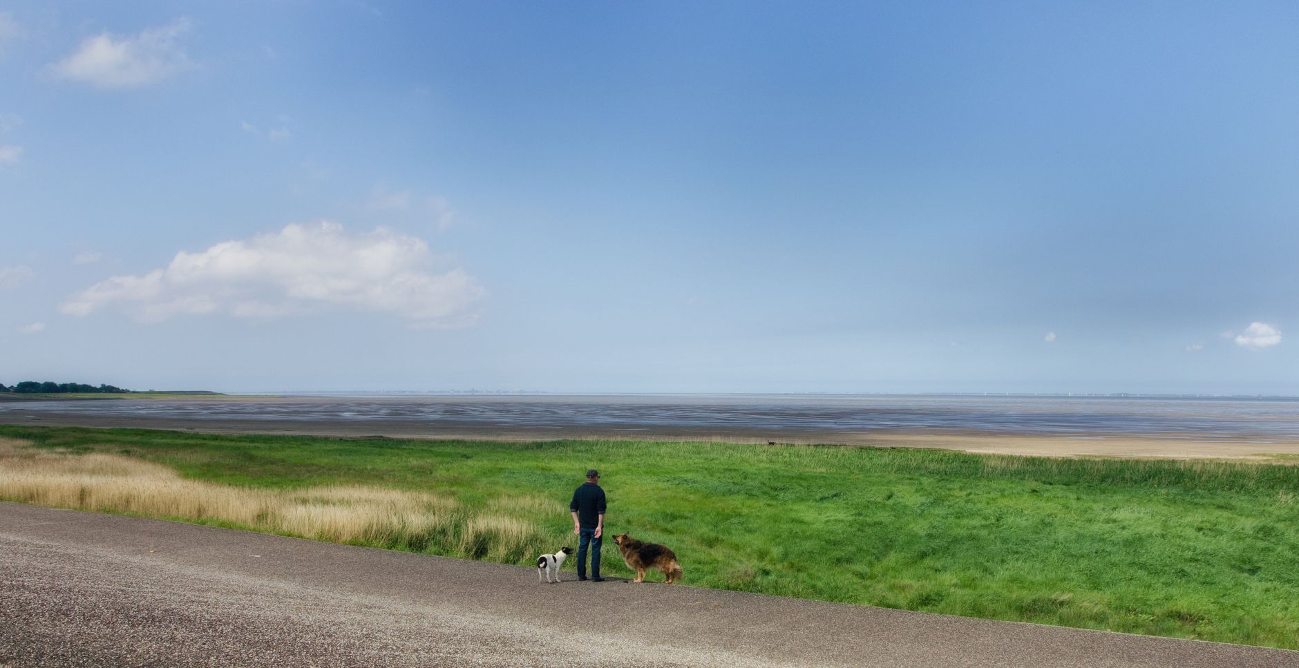 Texel