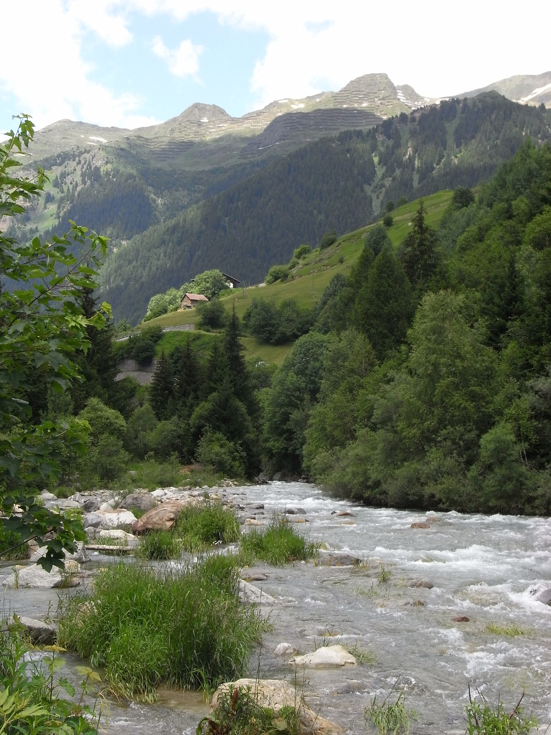 Ticino