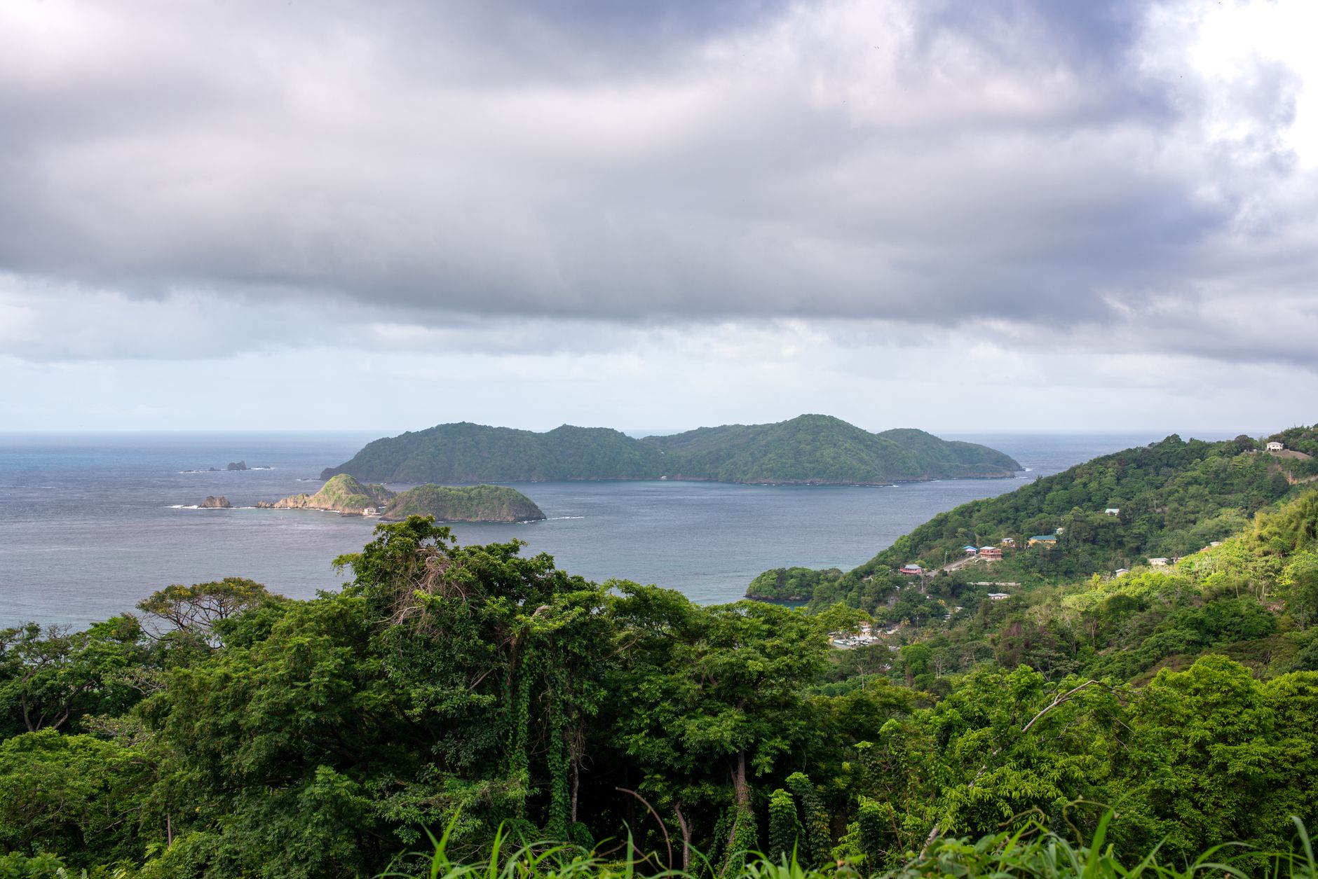 Tobago Main Ridge Forest Reserve