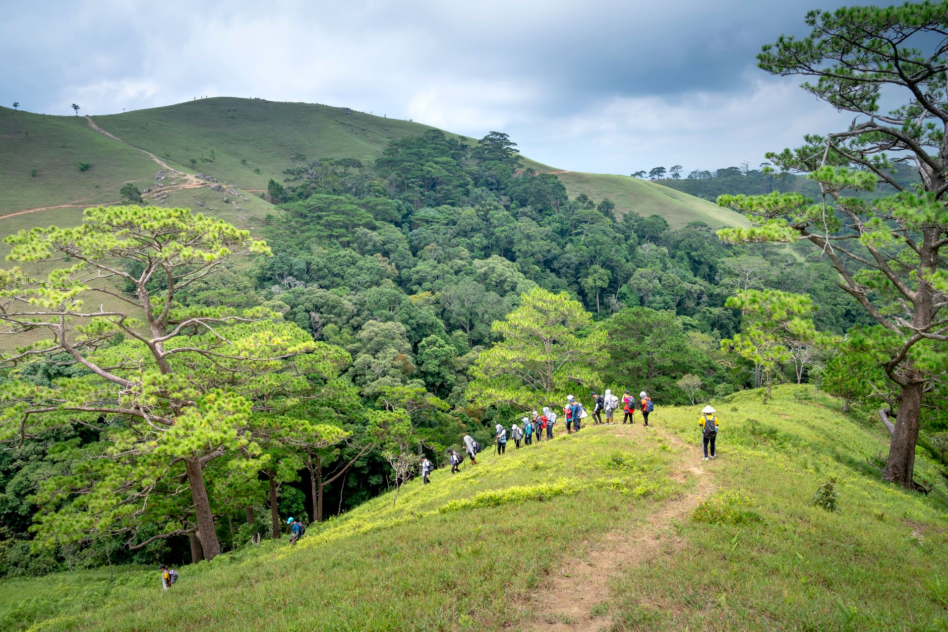 Tobago Main Ridge Forest Reserve