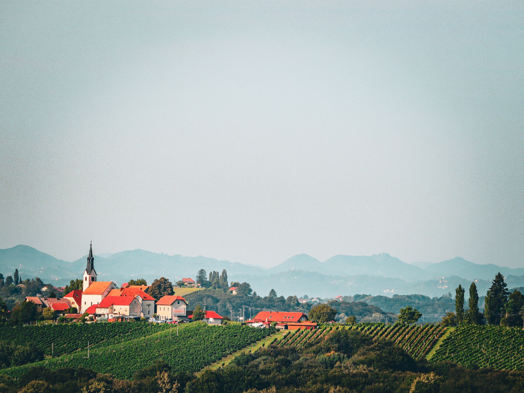 Tokaj Wine Region