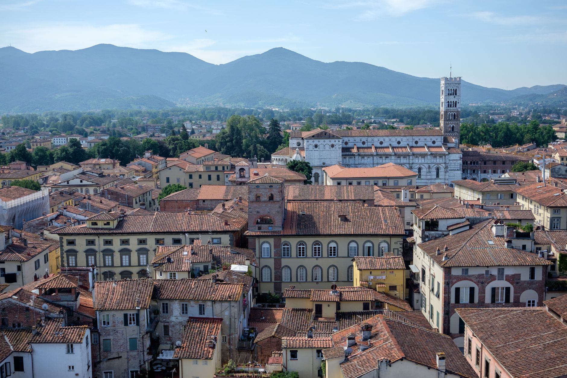 Torre Guinigi